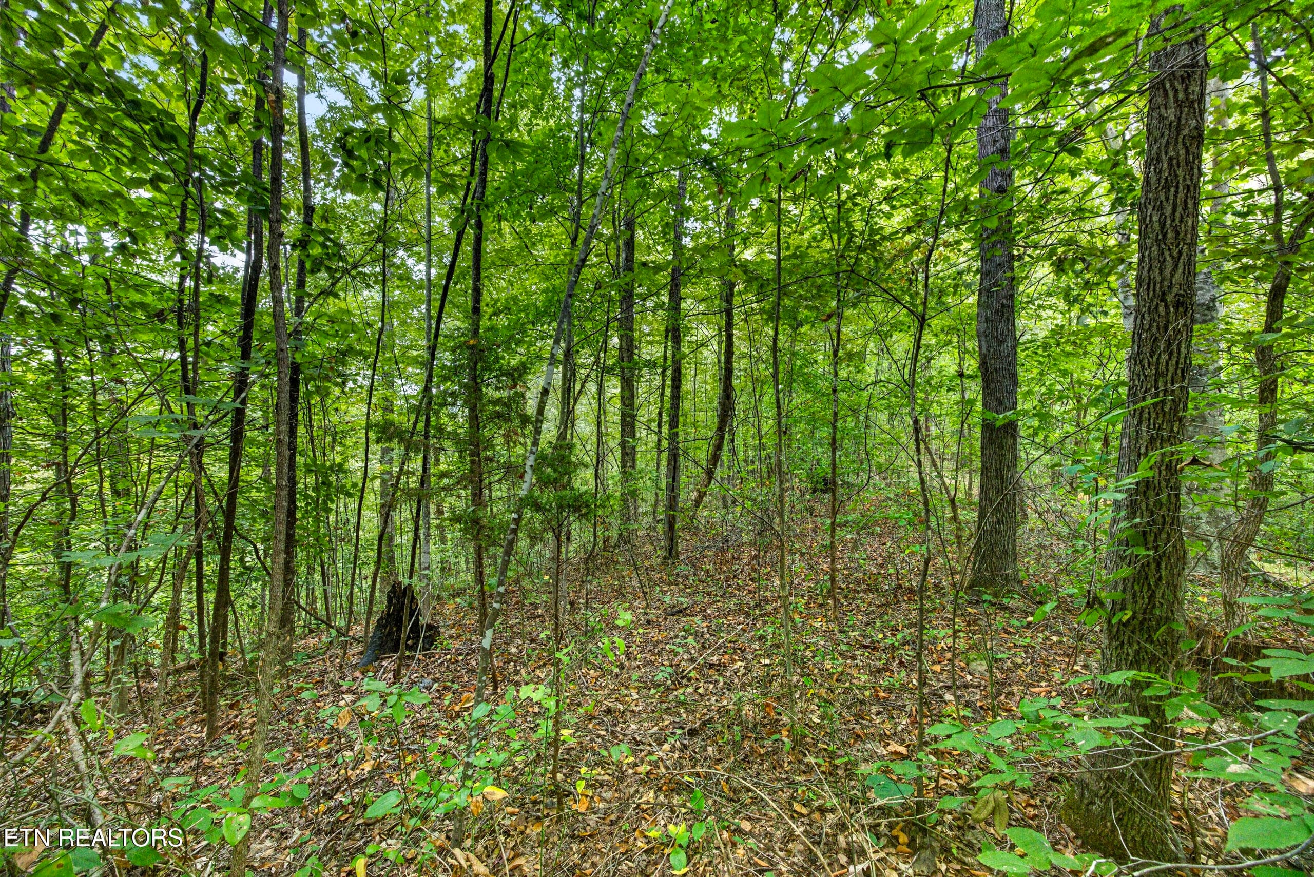 4-8N5A6613 - Lot 30&31 Timber Ridge Lane, Celina, TN 38551