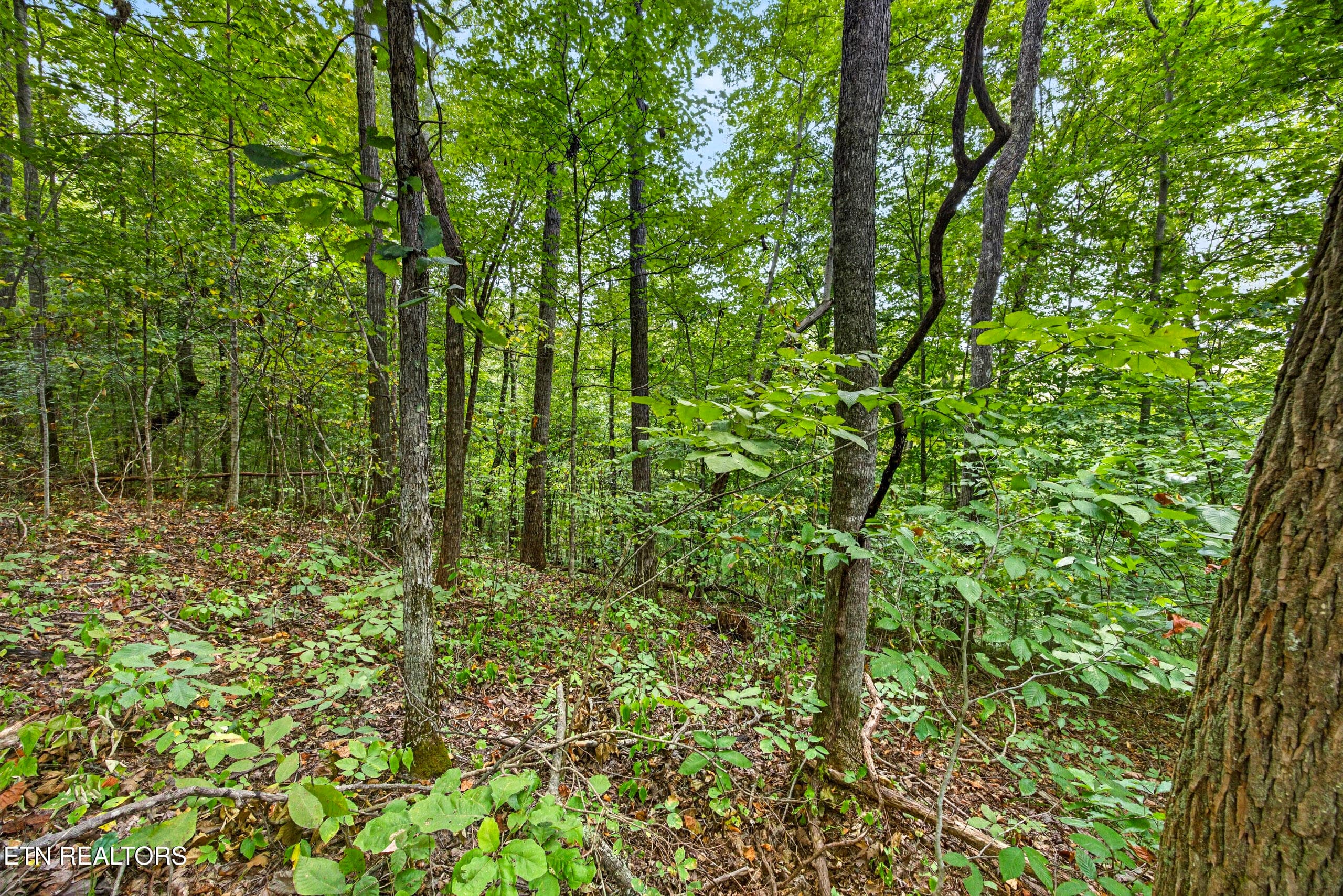 5-8N5A6609 - Lot 30&31 Timber Ridge Lane, Celina, TN 38551