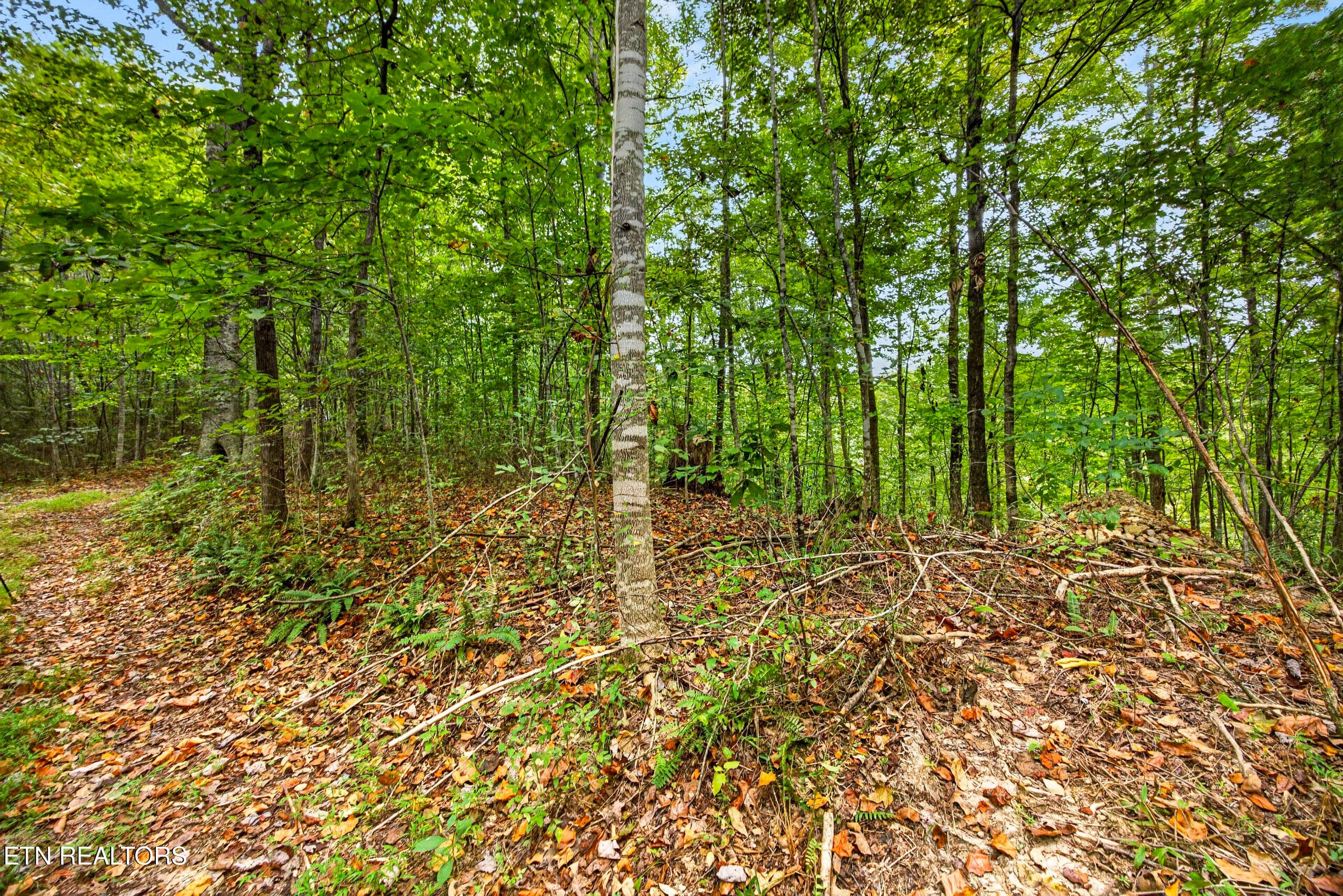 6-8N5A6624 - Lot 30&31 Timber Ridge Lane, Celina, TN 38551