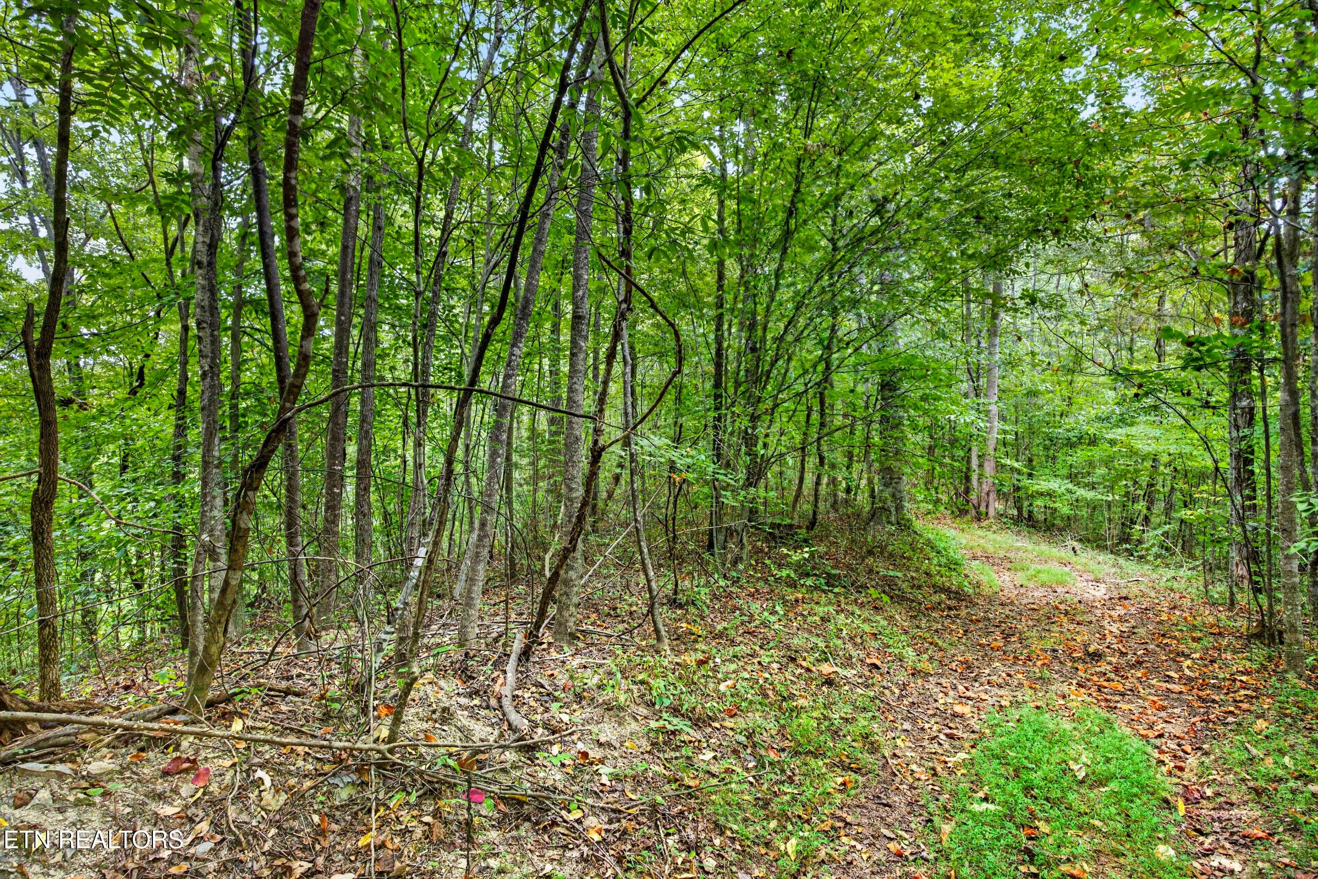 7-8N5A6601 - Lot 30&31 Timber Ridge Lane, Celina, TN 38551
