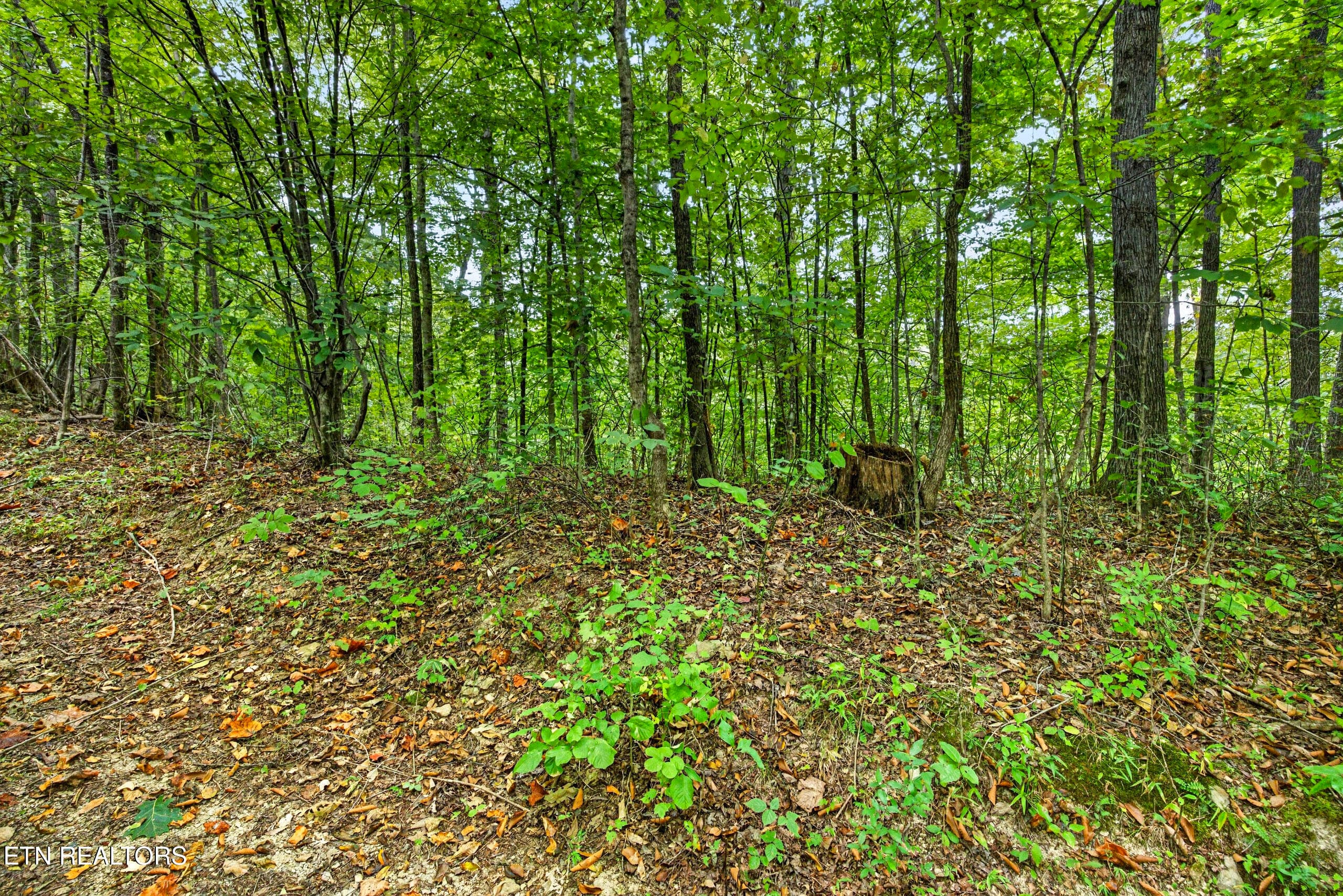 9-8N5A6596 - Lot 30&31 Timber Ridge Lane, Celina, TN 38551
