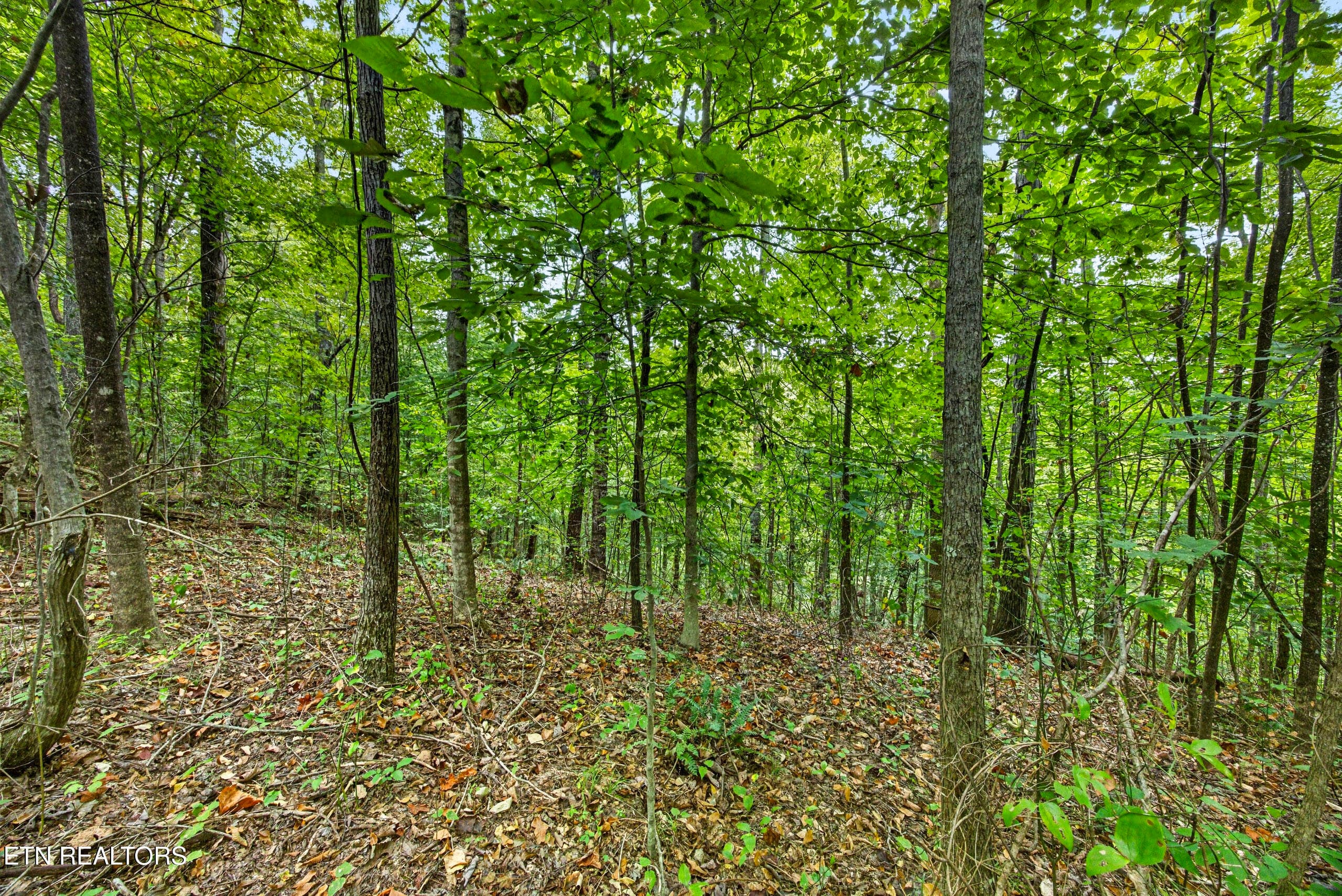 10-8N5A6617 - Lot 30&31 Timber Ridge Lane, Celina, TN 38551