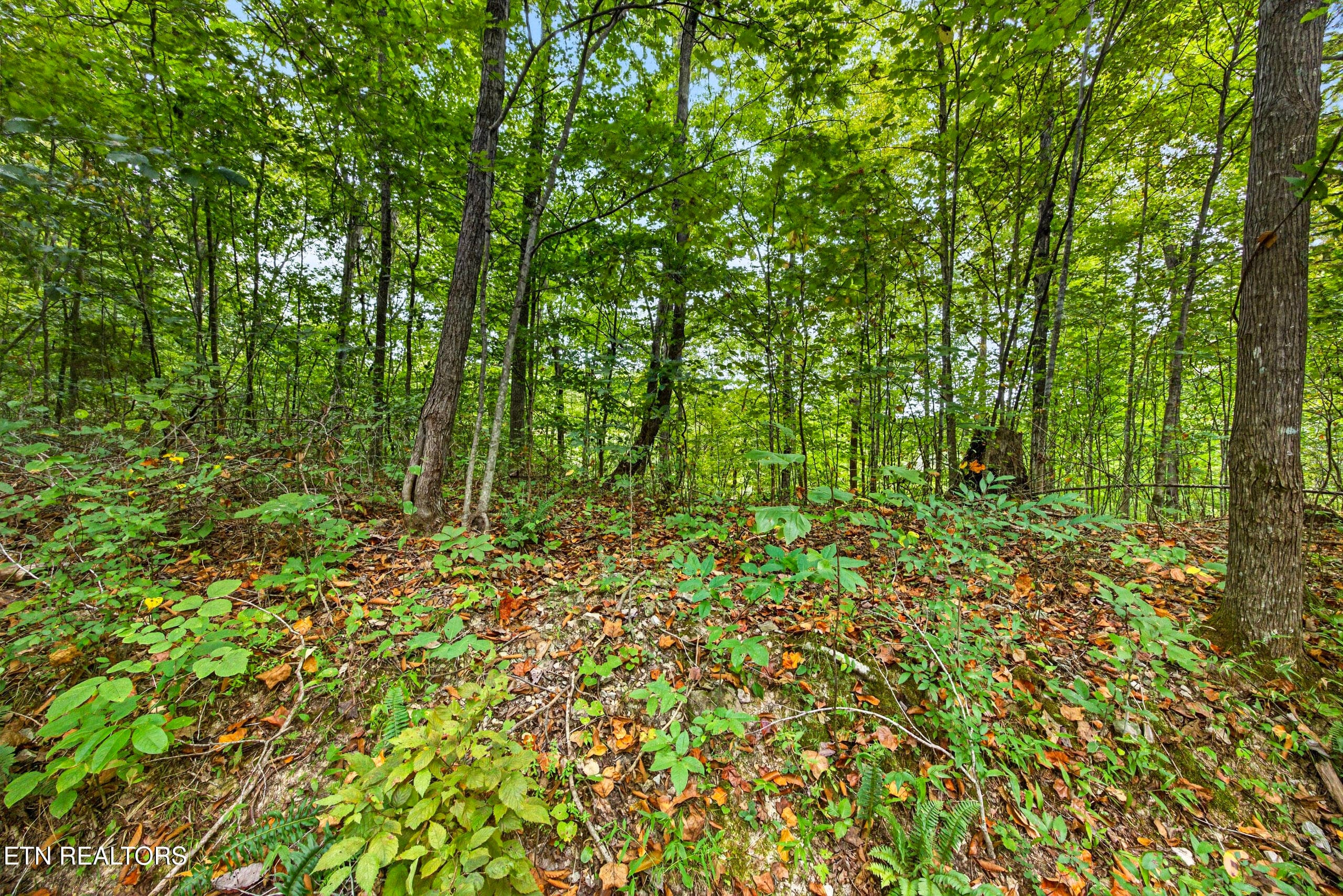 11-8N5A6619 - Lot 30&31 Timber Ridge Lane, Celina, TN 38551