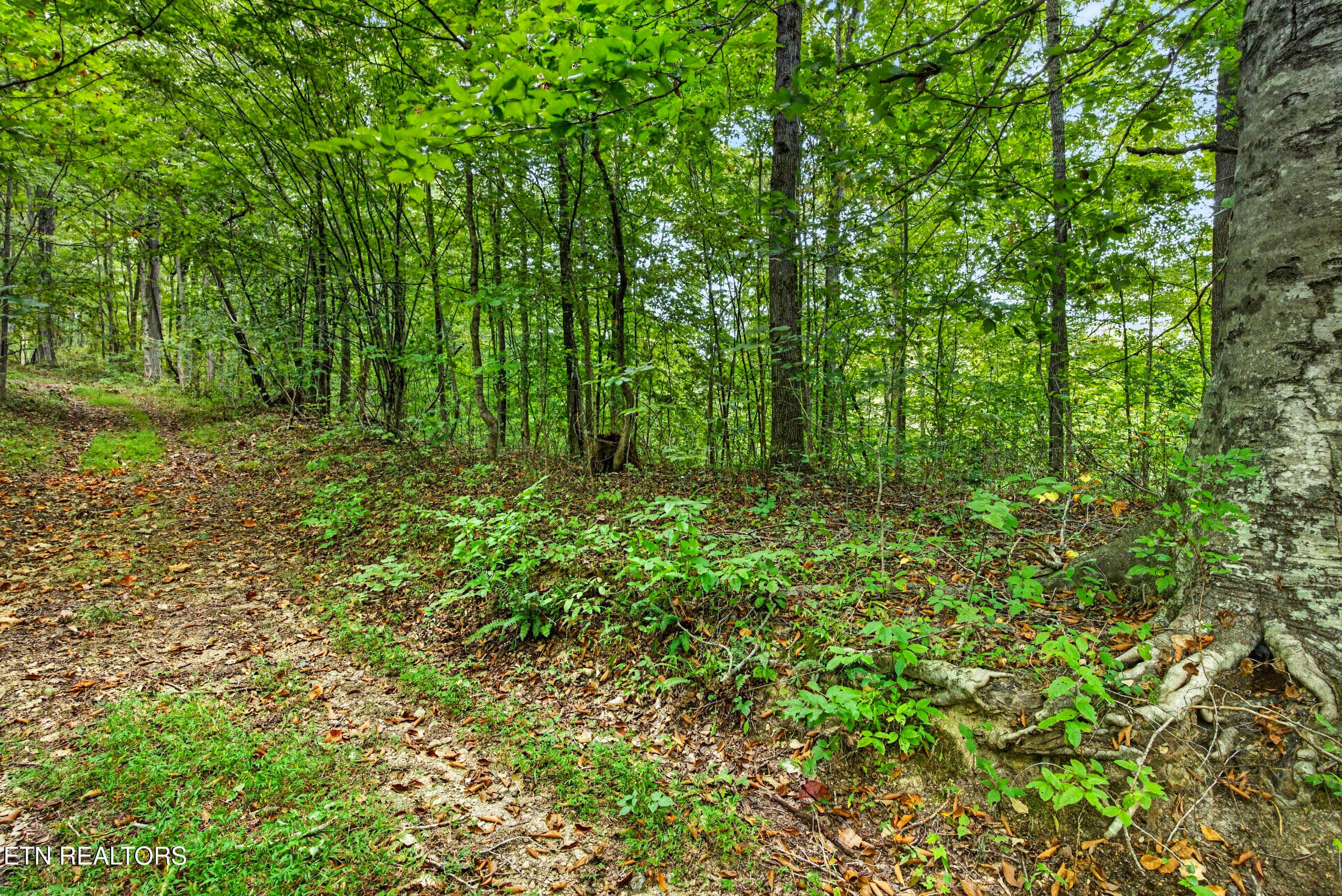 12-8N5A6592 - Lot 30&31 Timber Ridge Lane, Celina, TN 38551