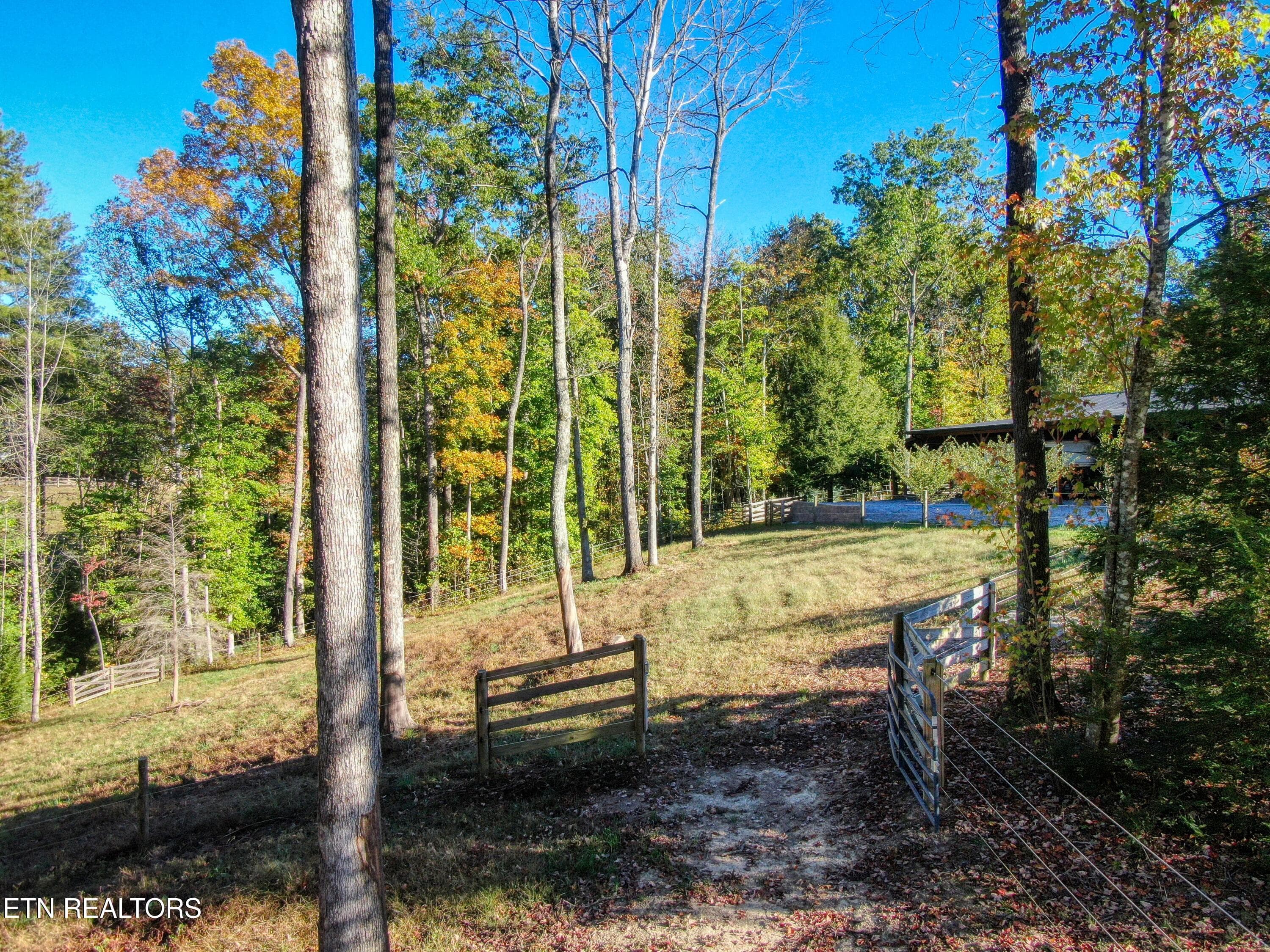48 - 32 Mill Creek Point, Allardt, TN 38504
