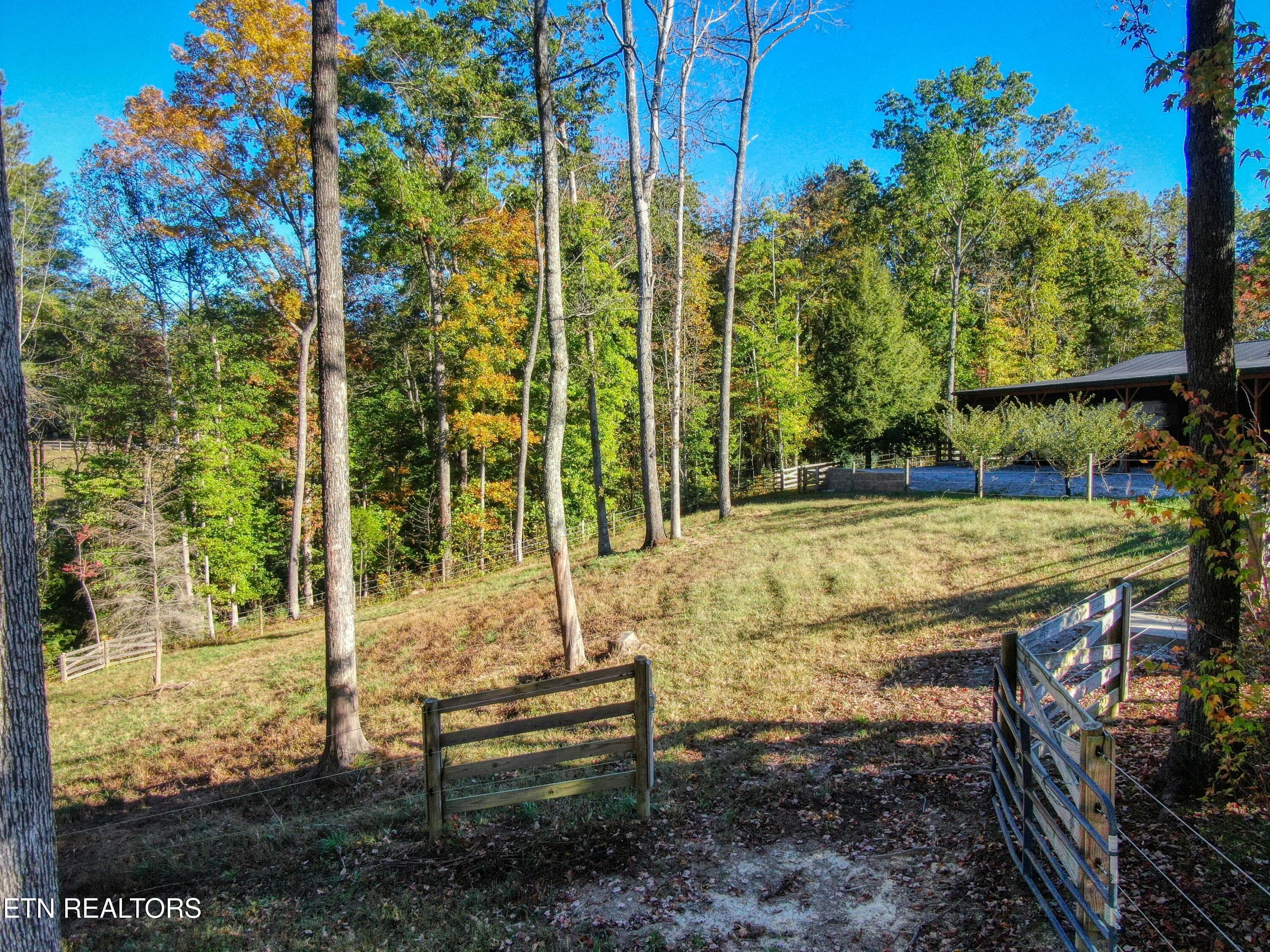 49 - 32 Mill Creek Point, Allardt, TN 38504