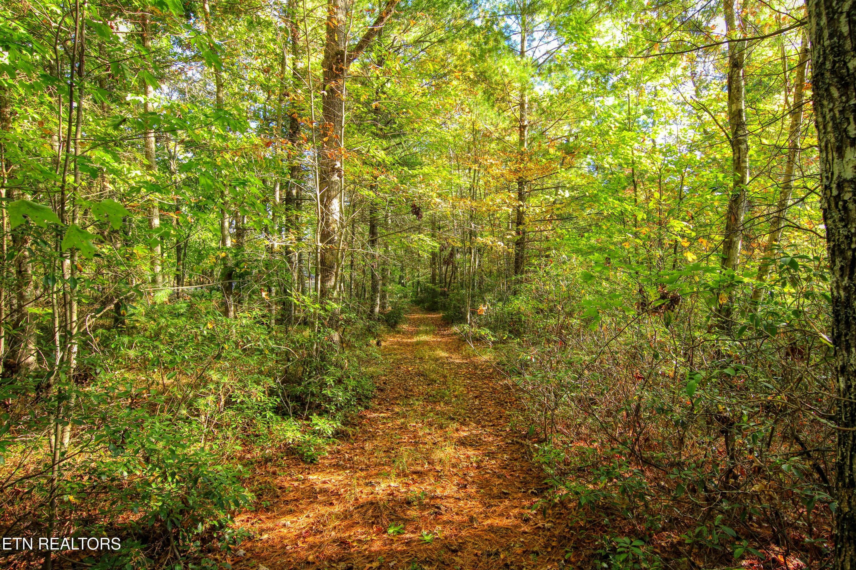 53 - 32 Mill Creek Point, Allardt, TN 38504
