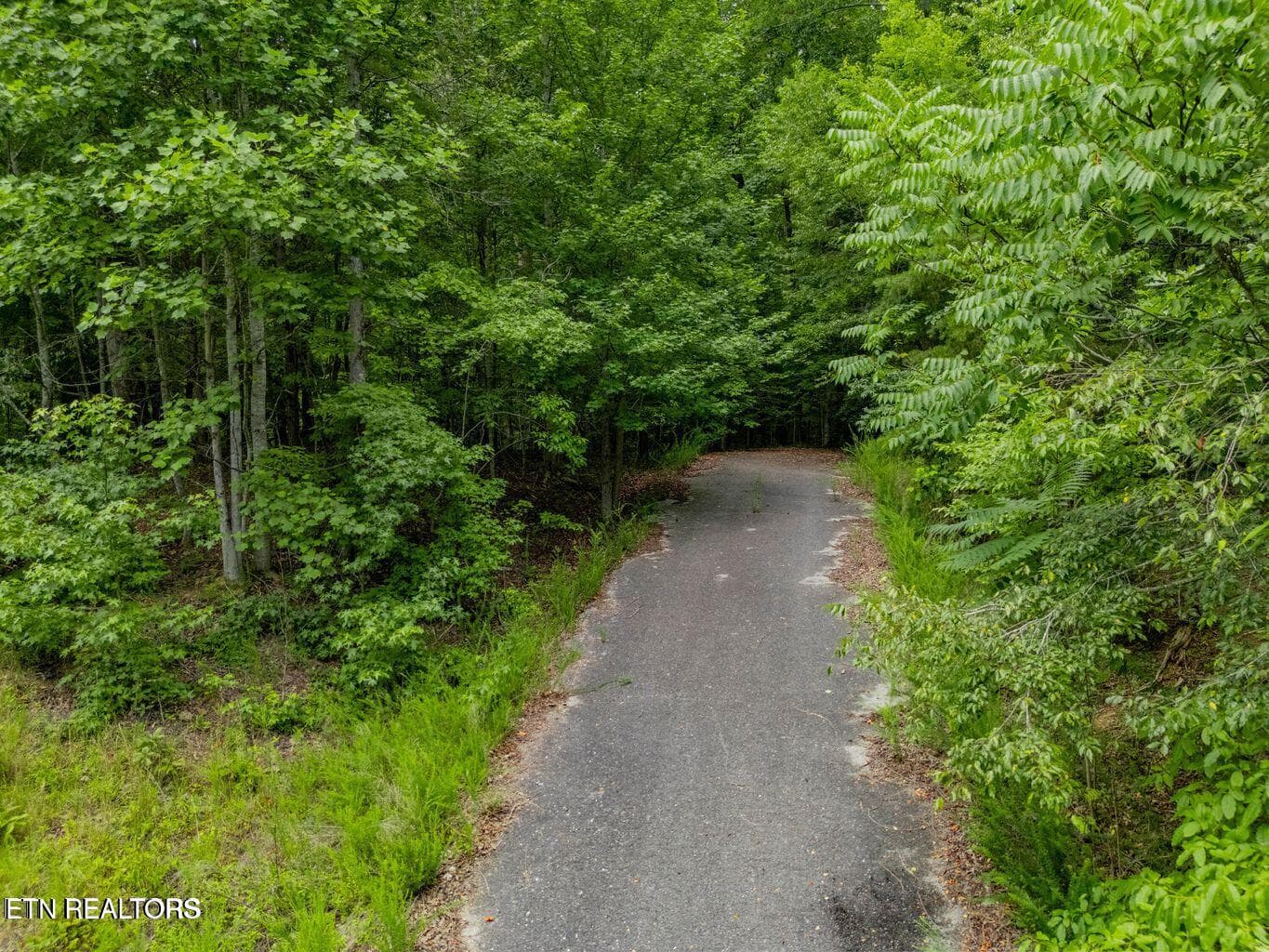 20250708182303693841000000-o - Crystal Springs Rd, Rockwood, TN 37854