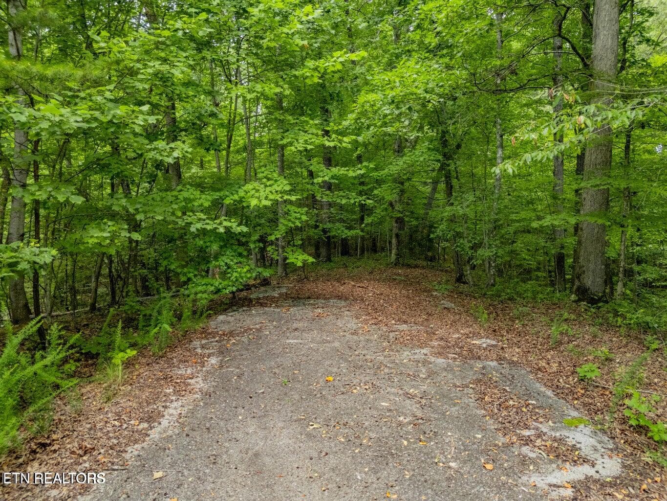 20250708182309522068000000-o - Crystal Springs Rd, Rockwood, TN 37854
