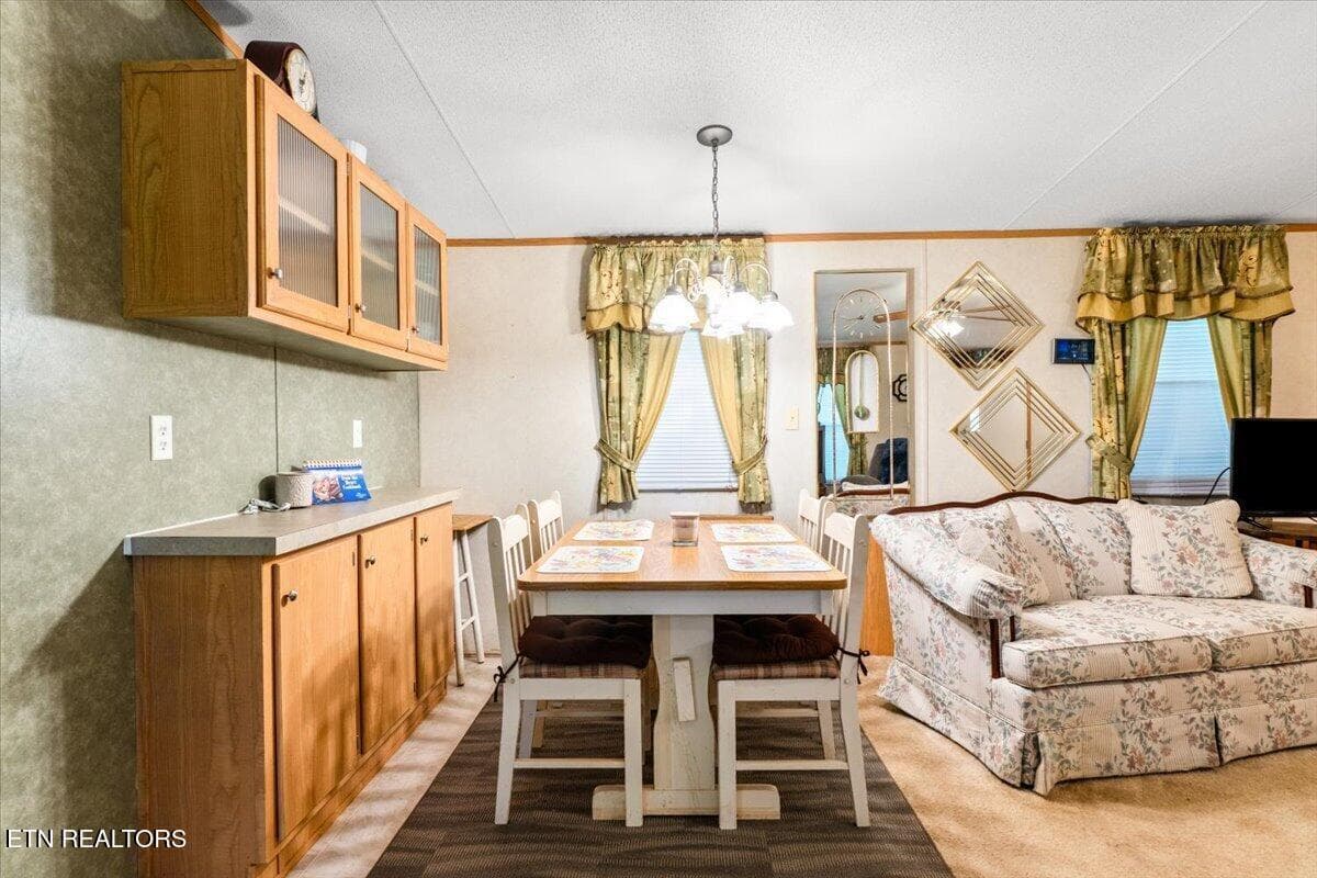 12-1547 Alder Springs Rd - 1547 Alder Springs Rd, LaFollette, TN 37766