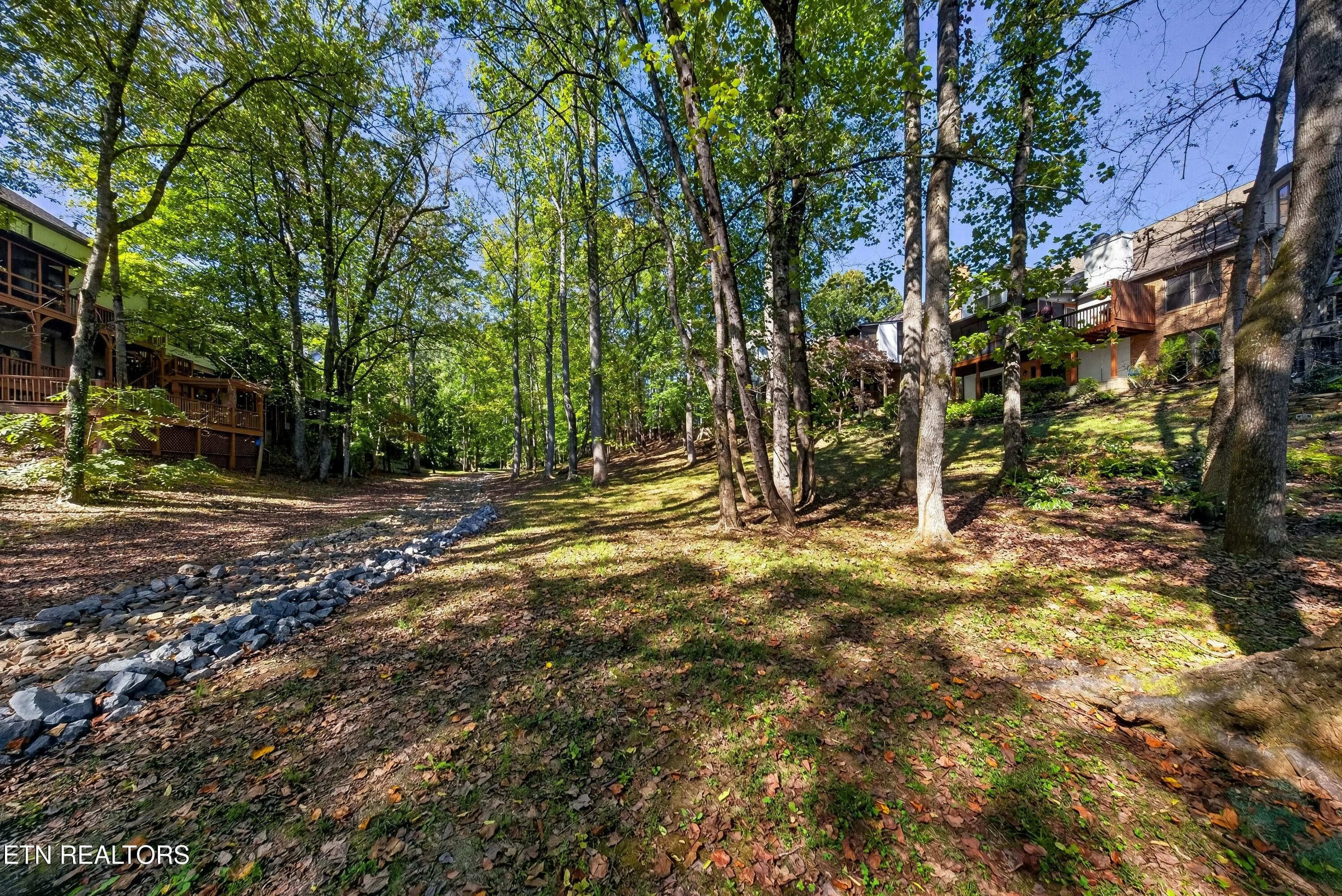 Z3_L40A9713 - 935 Ethans Glen Drive, Knoxville, TN 37923