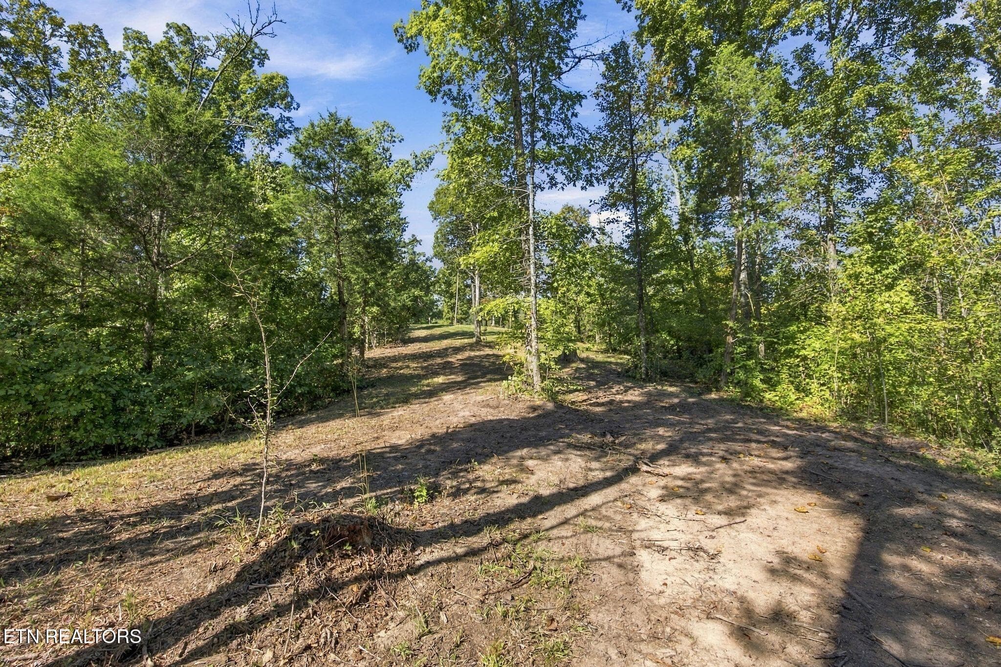 9_2247 Redman Ln 1 - 2247 Redman Lane, Decatur, TN 37322