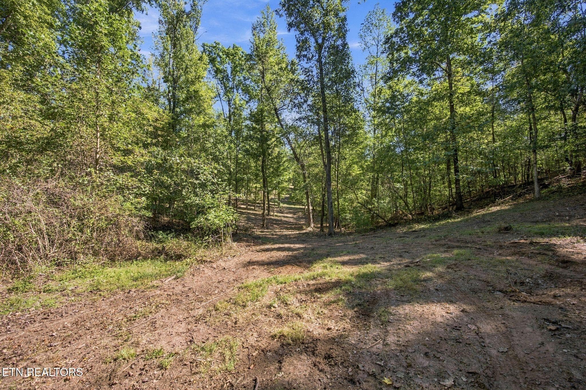 12_2247 Redman Ln 4 - 2247 Redman Lane, Decatur, TN 37322