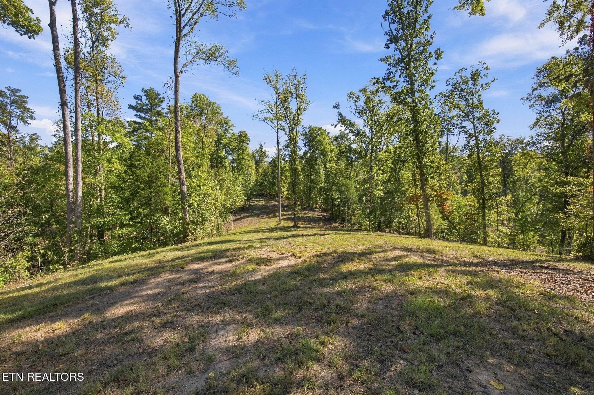 14_2247 Redman Ln 6 - 2247 Redman Lane, Decatur, TN 37322