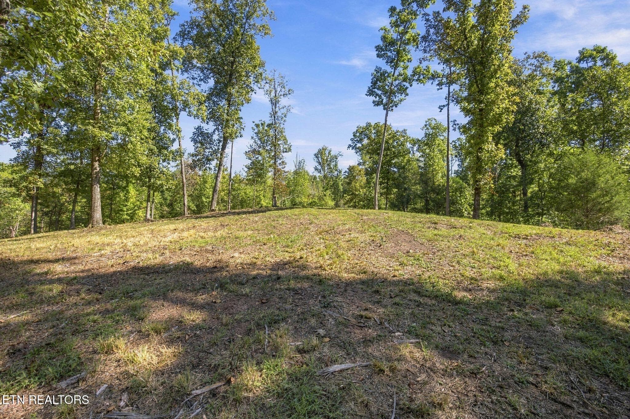 16_2247 Redman Ln 8 - 2247 Redman Lane, Decatur, TN 37322