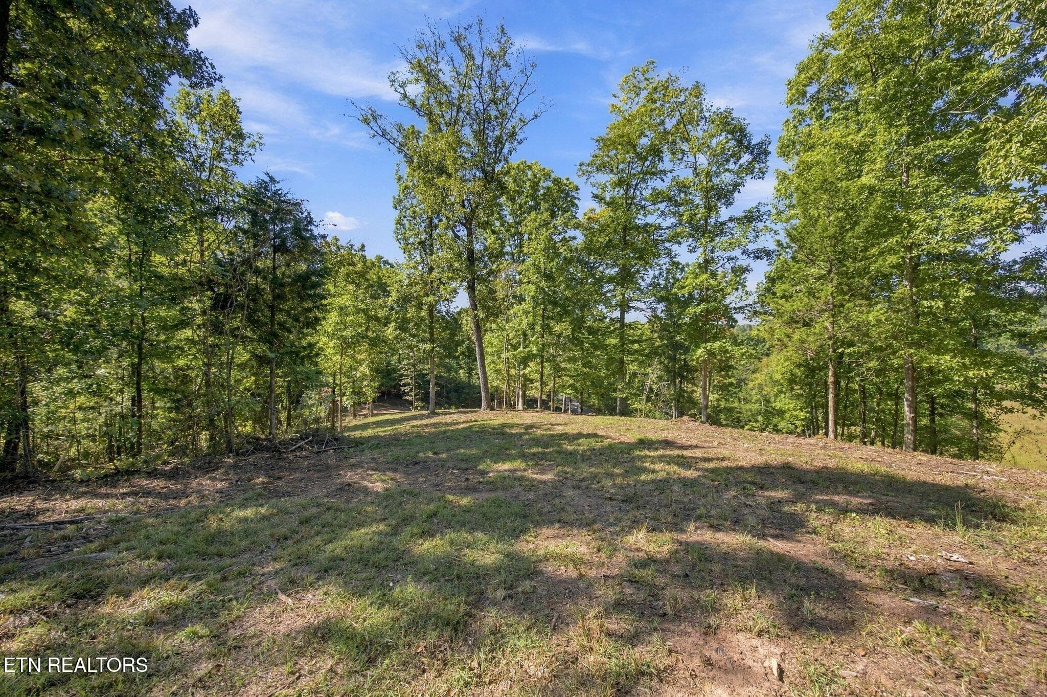 17_2247 Redman Ln 9 - 2247 Redman Lane, Decatur, TN 37322