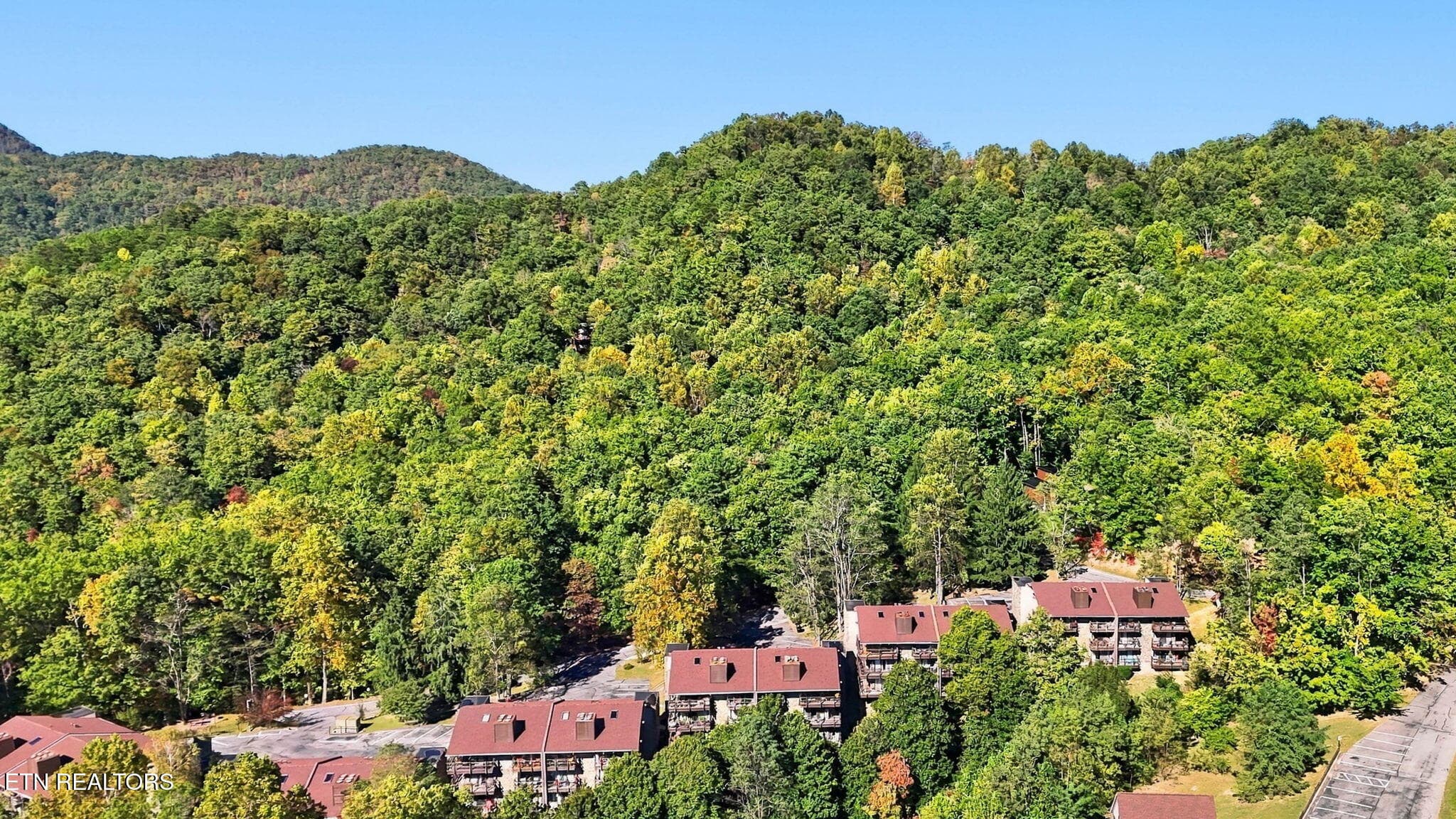 Mountains - 1081 Cove Rd APT 634, Sevierville, TN 37876