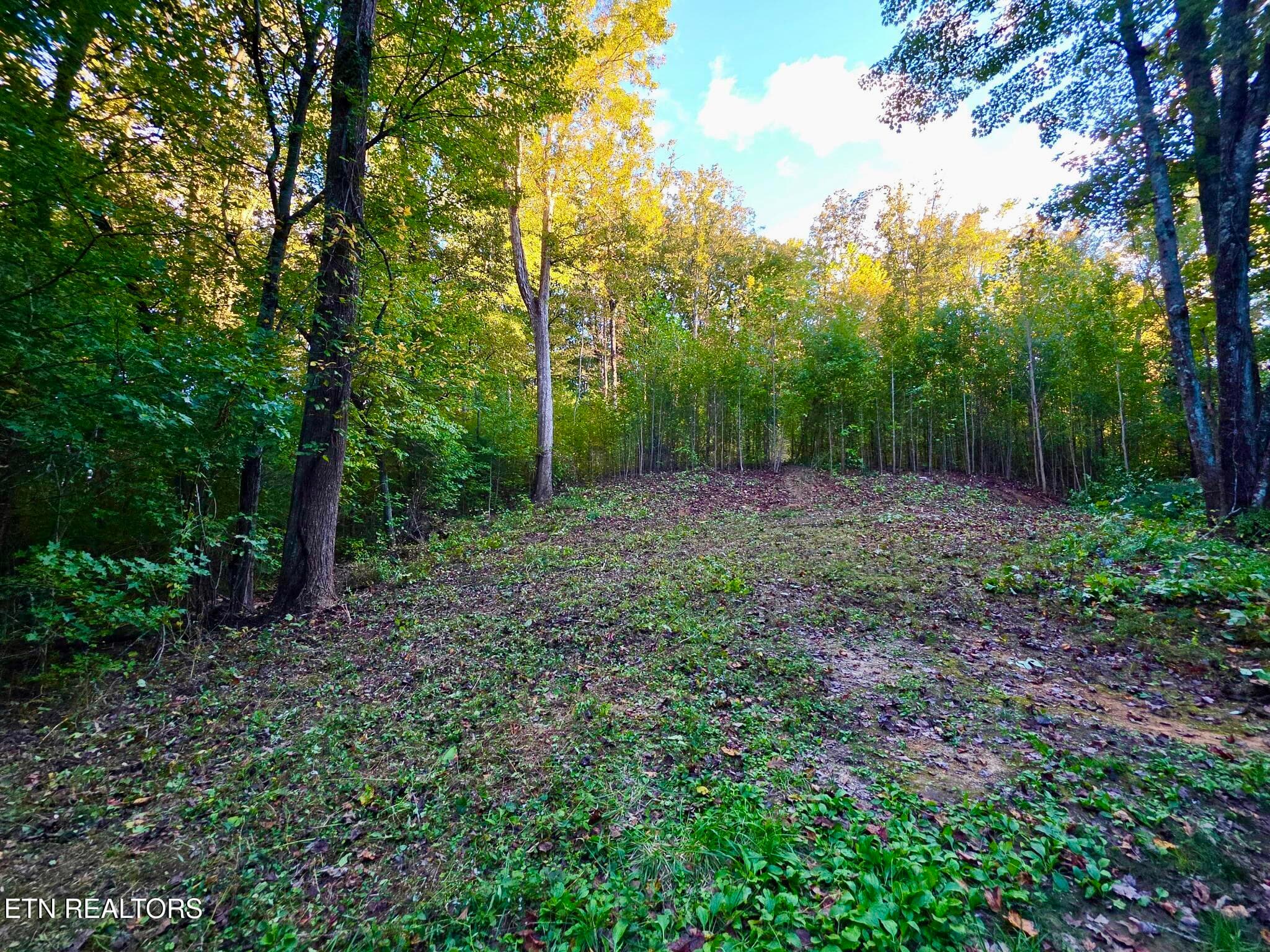 195 Sherwood Lane, Harriman, TN 37748