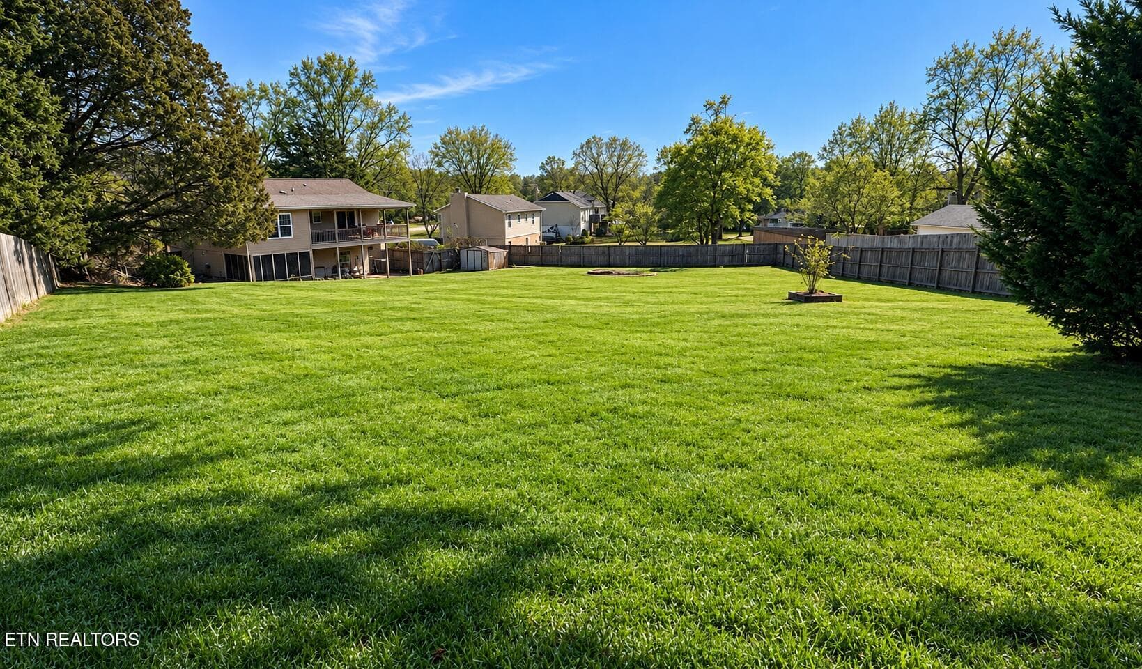 Back Yard - 1819 Strathmore Rd, Knoxville, TN 37922