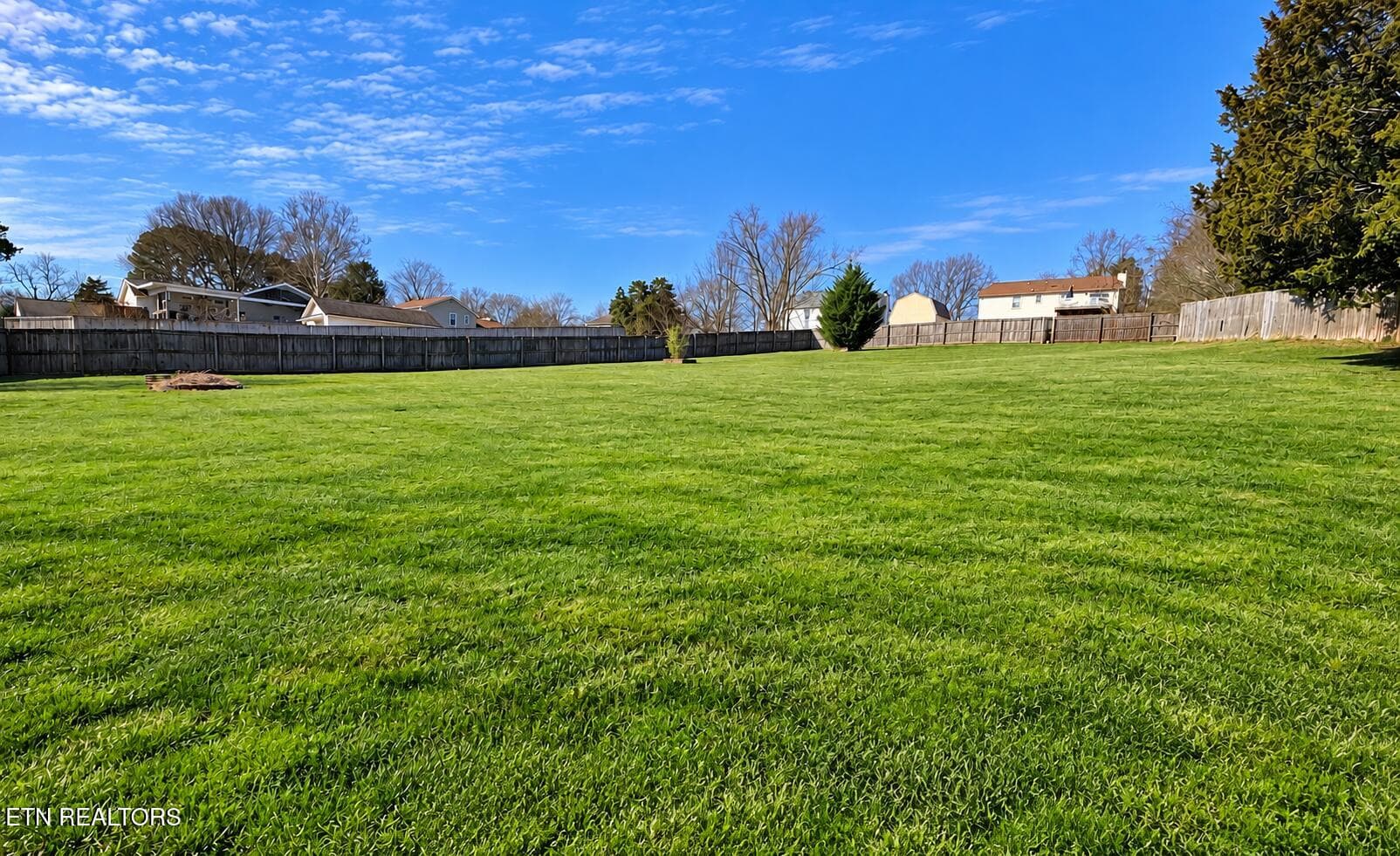 Back Yard - 1819 Strathmore Rd, Knoxville, TN 37922