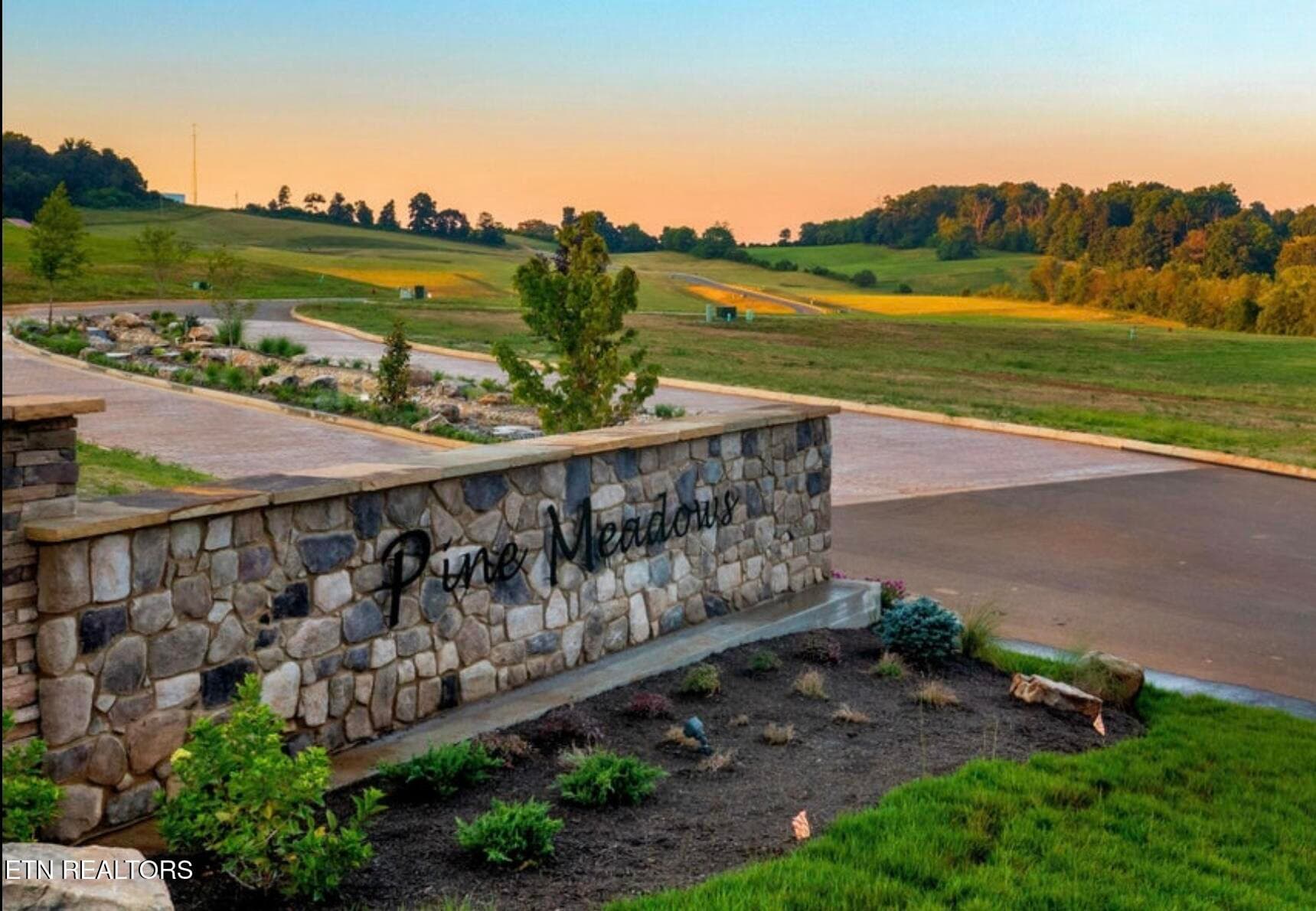 IMG_1001 - Lot 27 Vista Ridge Drive, White Pine, TN 37890