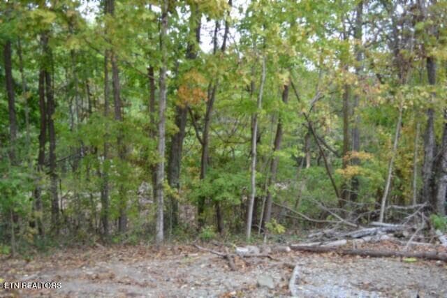 BACK YARD - 95 Cummins Court, Celina, TN 38551
