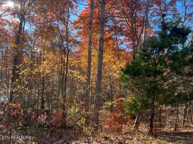 Lot 9 T Place2 - Lot 9 T Place, Monterey, TN 38574