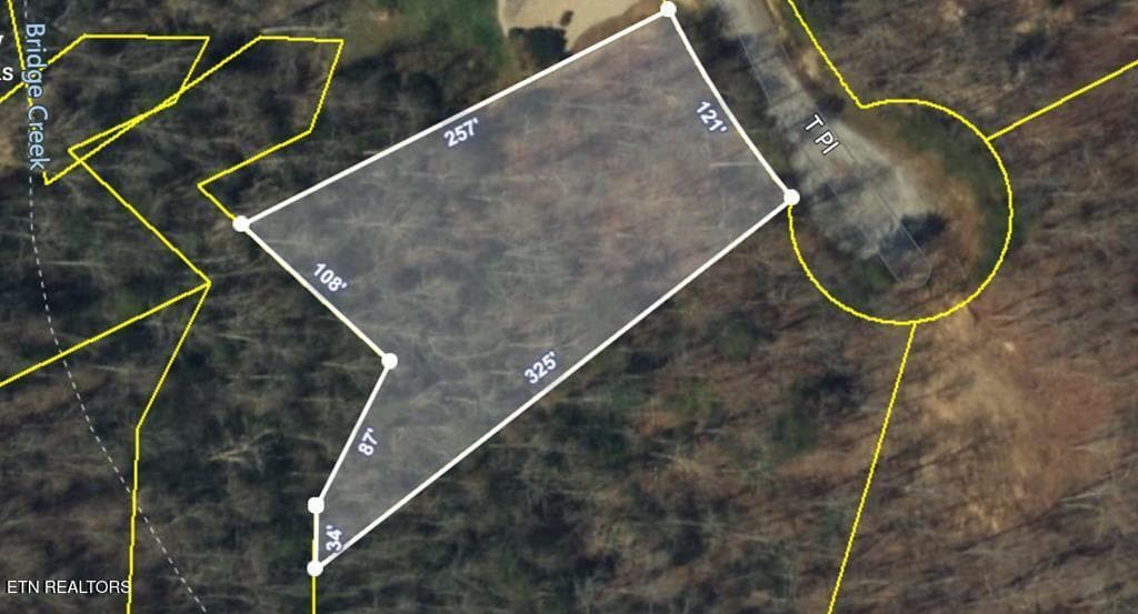 Lot 9 T place1 - Lot 9 T Place, Monterey, TN 38574