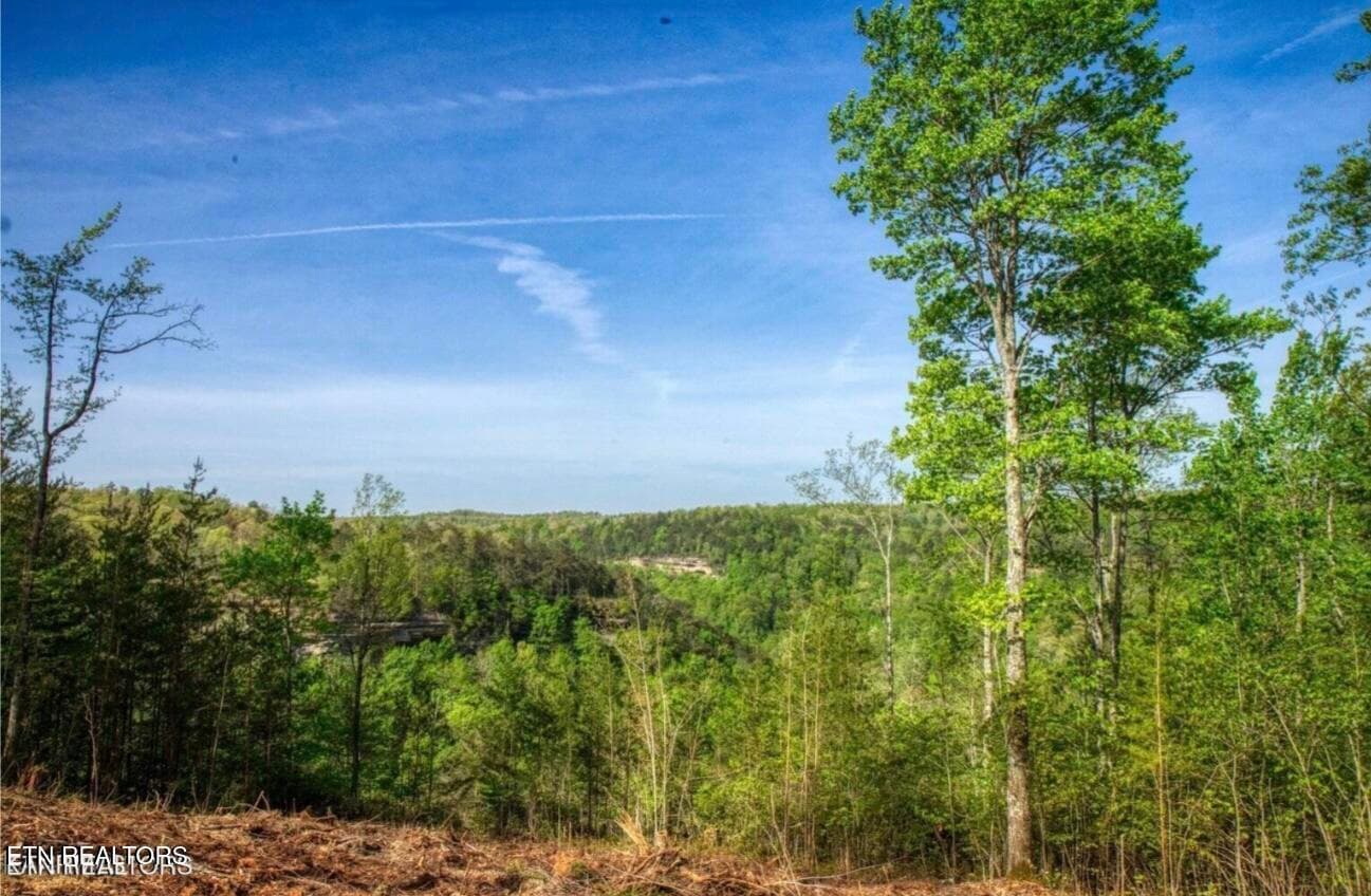 0 Grandview Way, Jamestown, TN 38556
