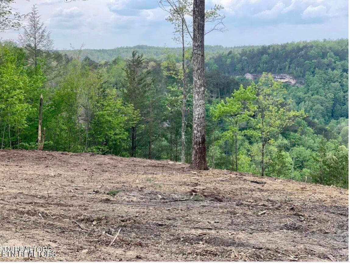 Bluff View - 0 Grandview Way, Jamestown, TN 38556