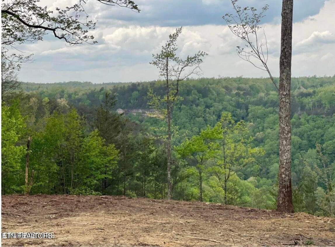Bluff View - 0 Grandview Way, Jamestown, TN 38556