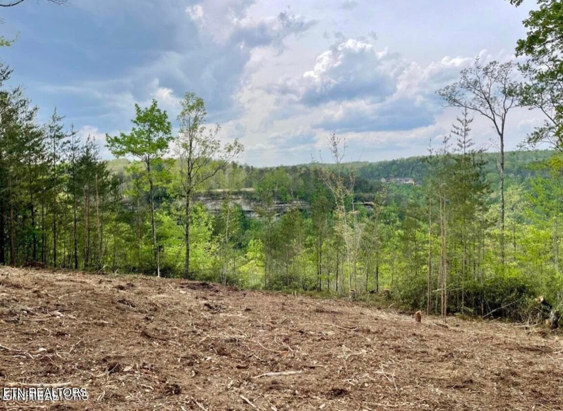 Bluff View - 0 Grandview Way, Jamestown, TN 38556