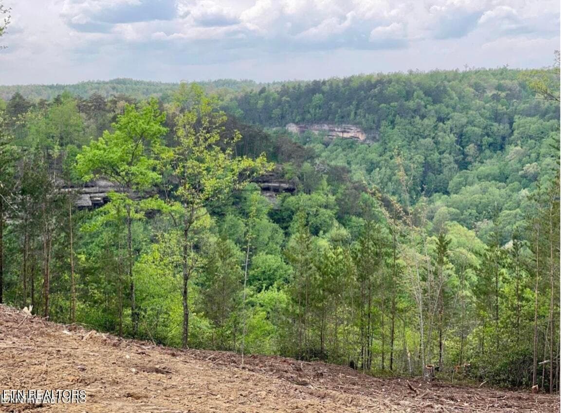 Bluff View - 0 Grandview Way, Jamestown, TN 38556