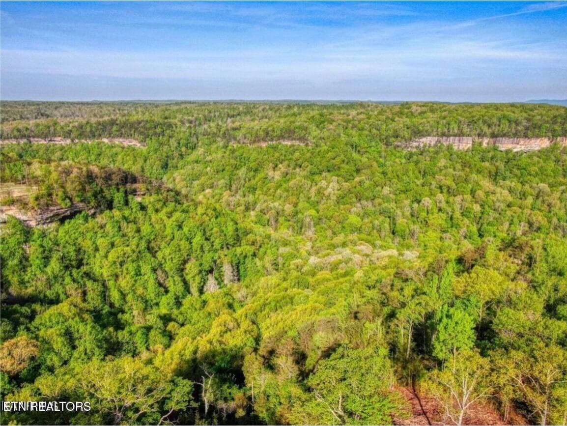 Bluff View - 0 Grandview Way, Jamestown, TN 38556