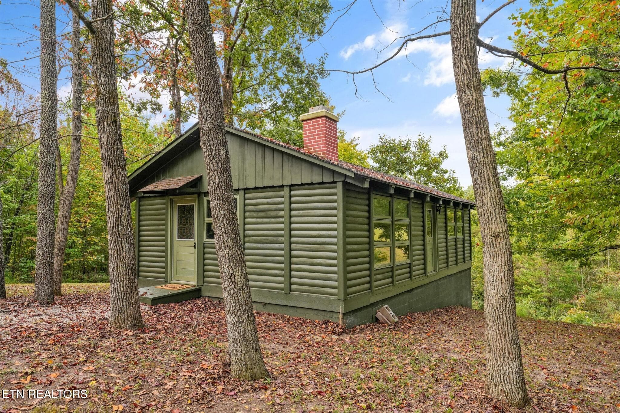 FEF3778A-949E-446A-AF60-2750A4798984 - 225 Pleasant View Loop, Clinton, TN 37716