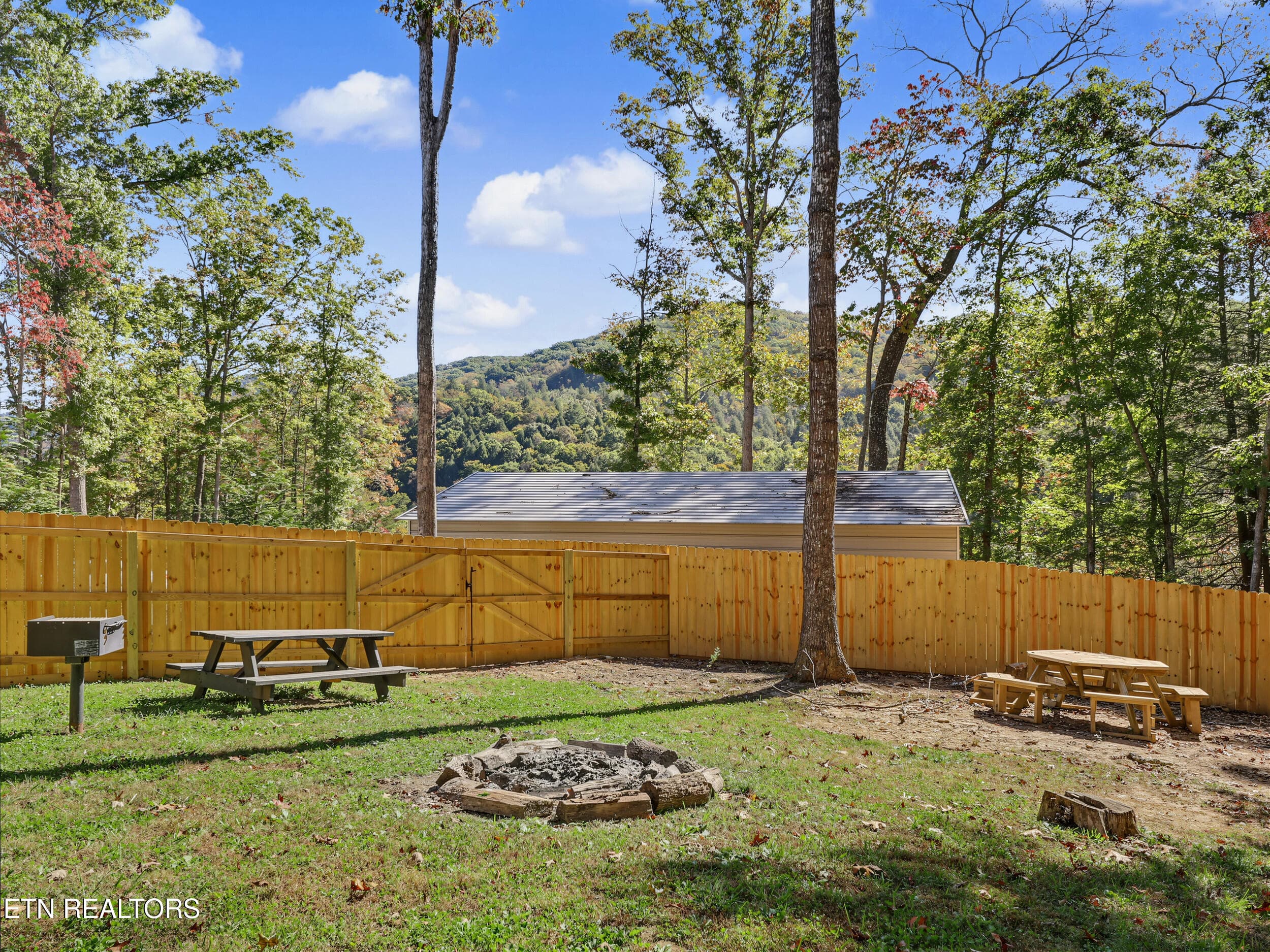 36_img_6516 - 6830 Stinking Creek Rd, Pioneer, TN 37847