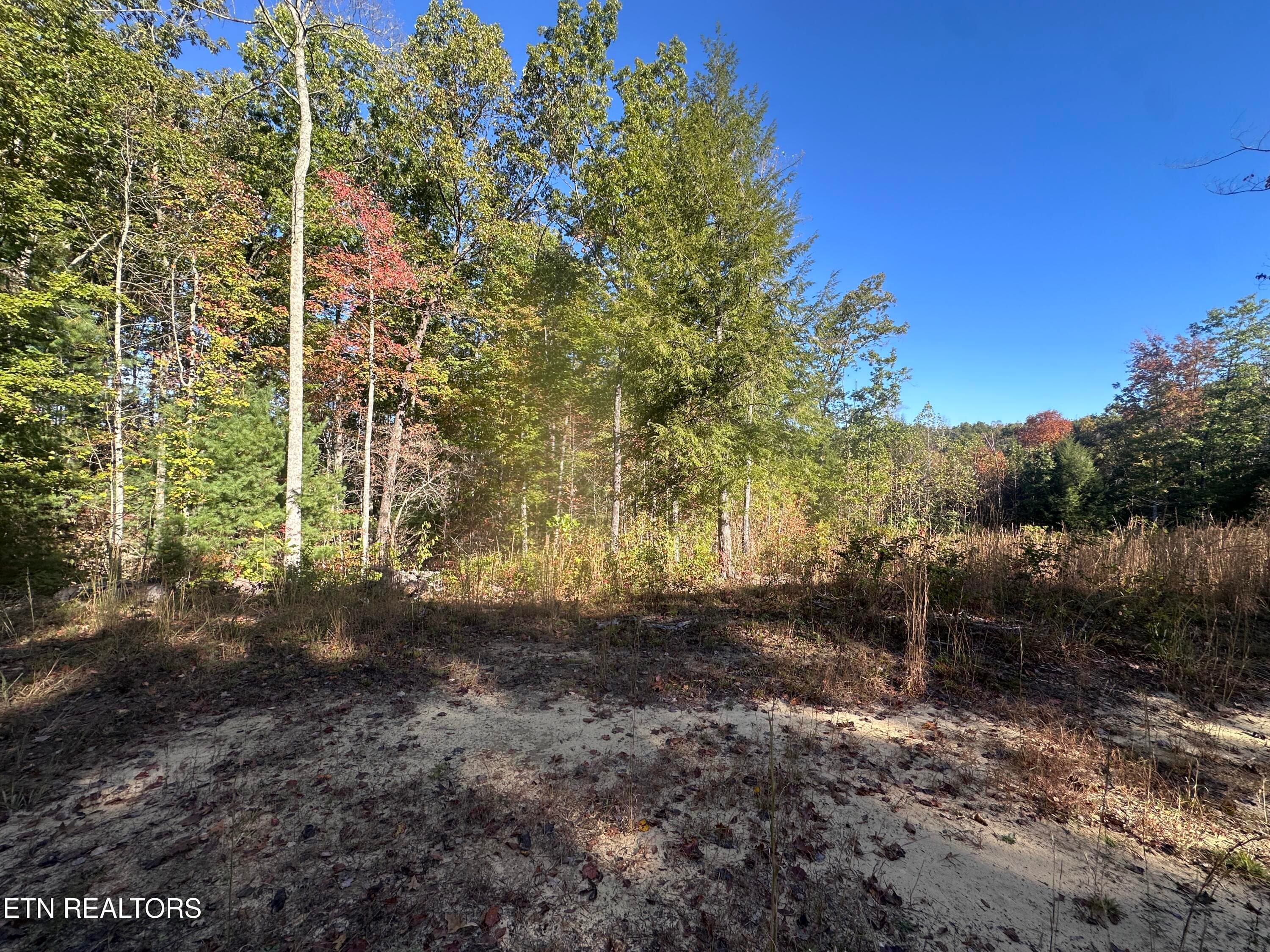IMG_3475 - 137 Laurel Rd, Jamestown, TN 38556