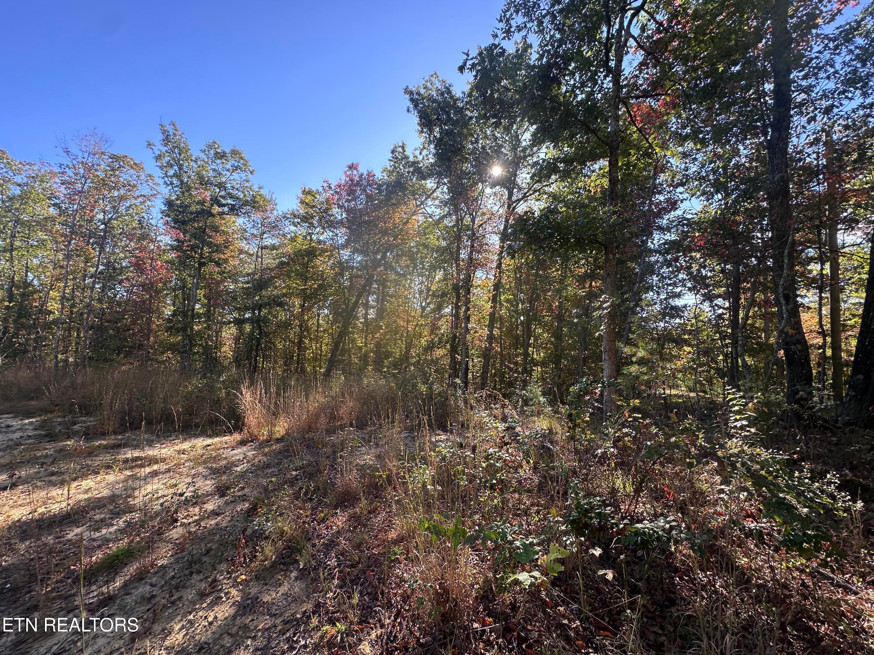 IMG_3476 - 137 Laurel Rd, Jamestown, TN 38556