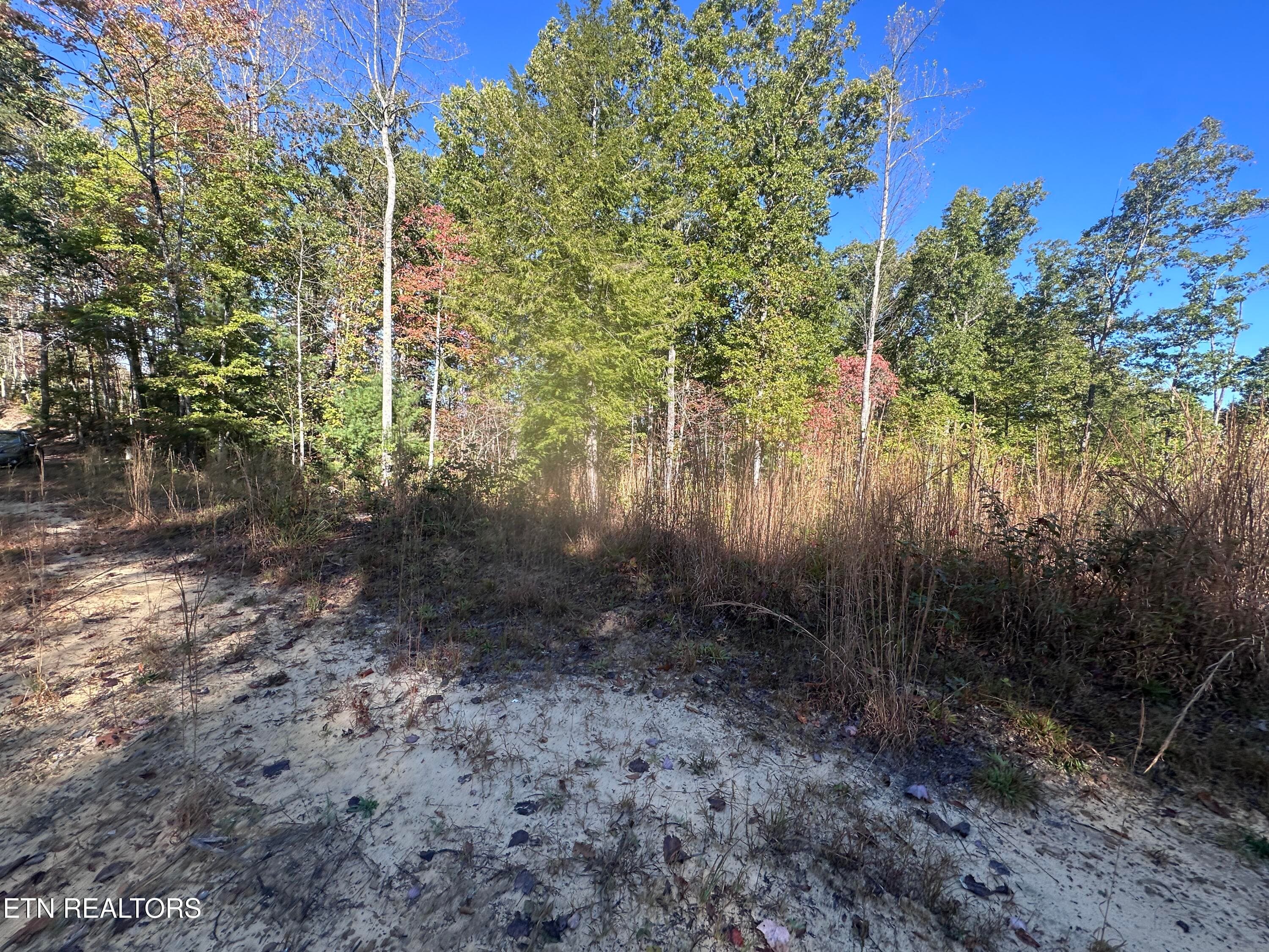 IMG_3479 - 137 Laurel Rd, Jamestown, TN 38556