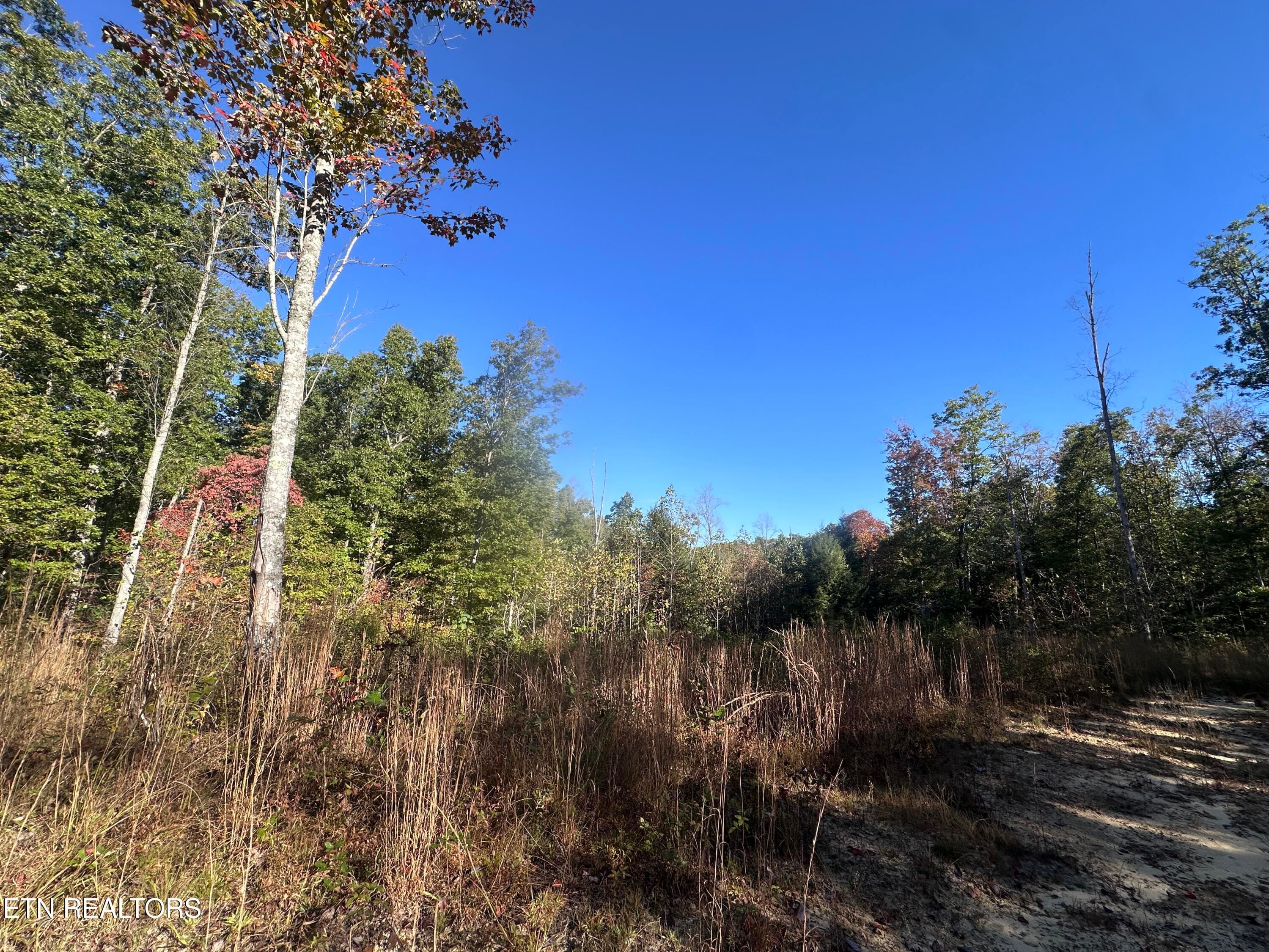 IMG_3484 - 137 Laurel Rd, Jamestown, TN 38556