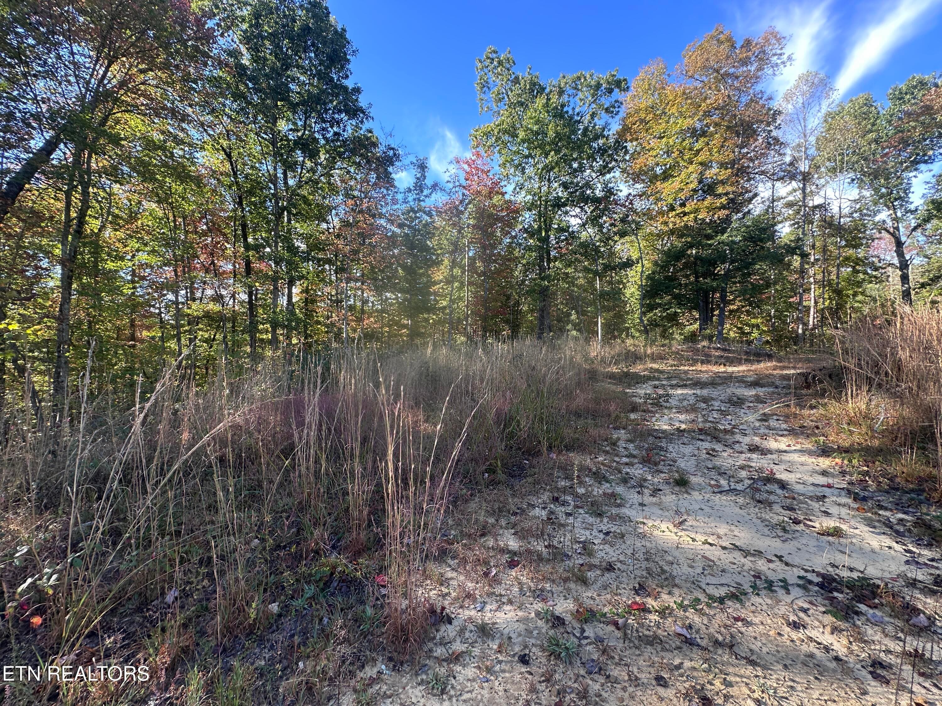 IMG_3485 - 137 Laurel Rd, Jamestown, TN 38556