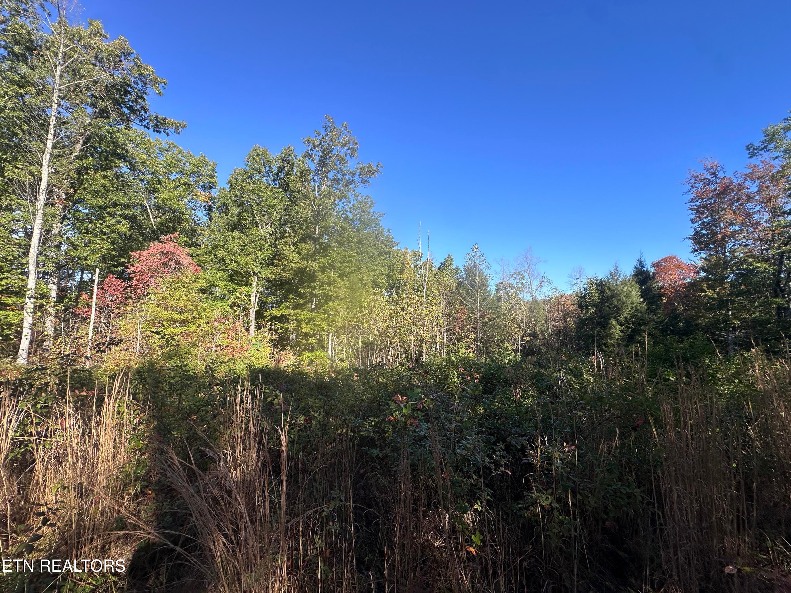 IMG_3486 - 137 Laurel Rd, Jamestown, TN 38556