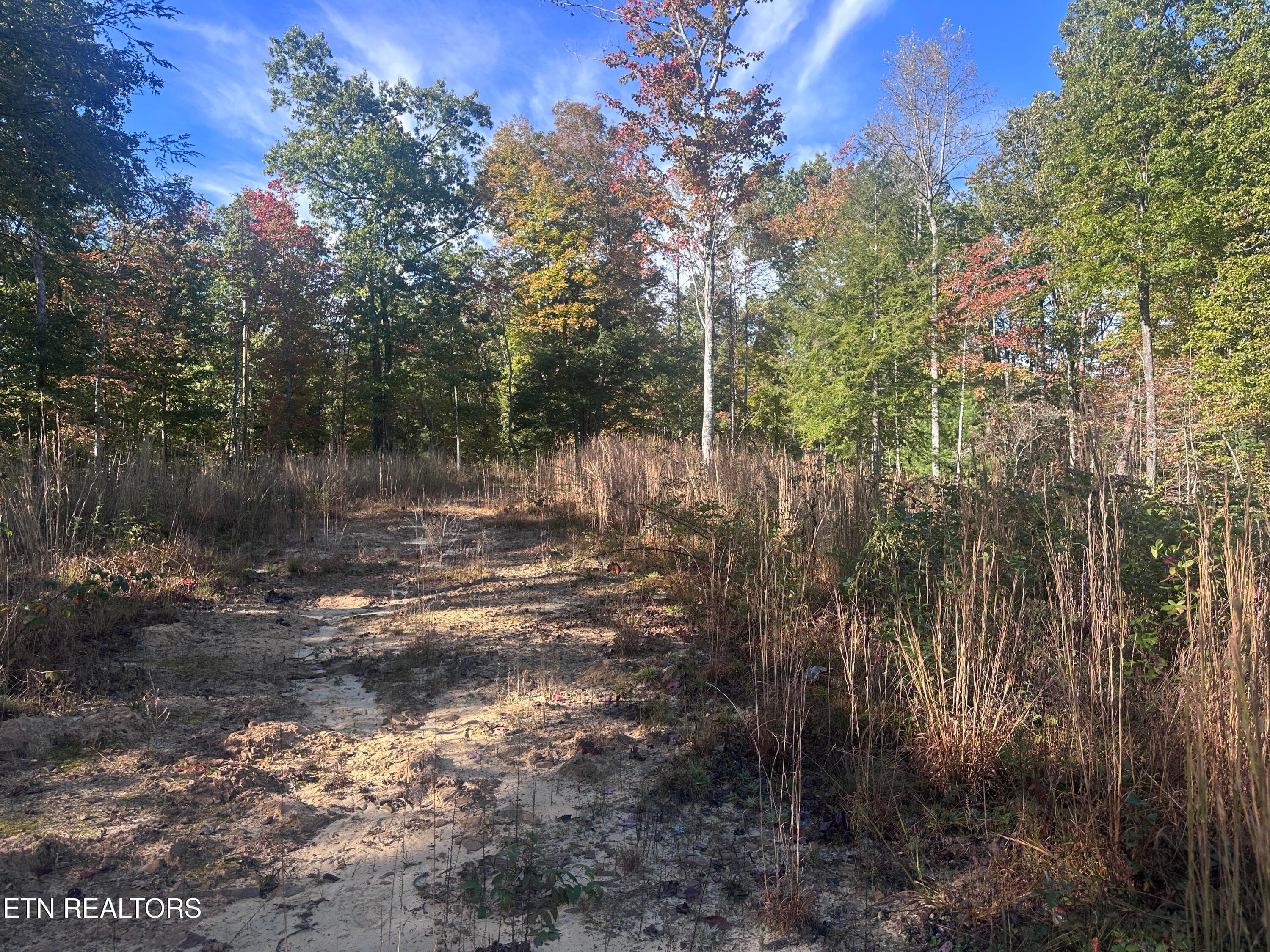 IMG_3488 - 137 Laurel Rd, Jamestown, TN 38556