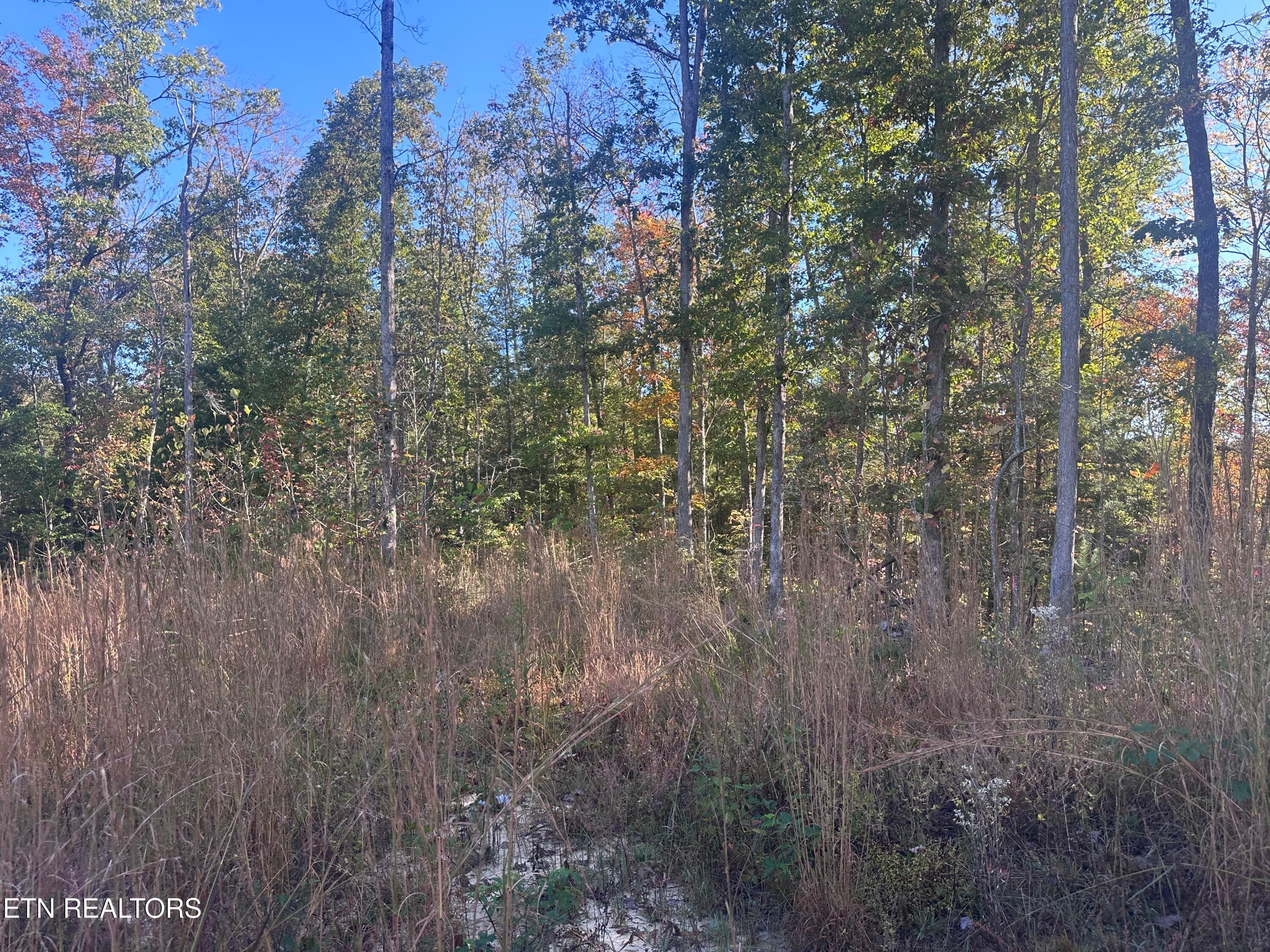 IMG_3489 - 137 Laurel Rd, Jamestown, TN 38556