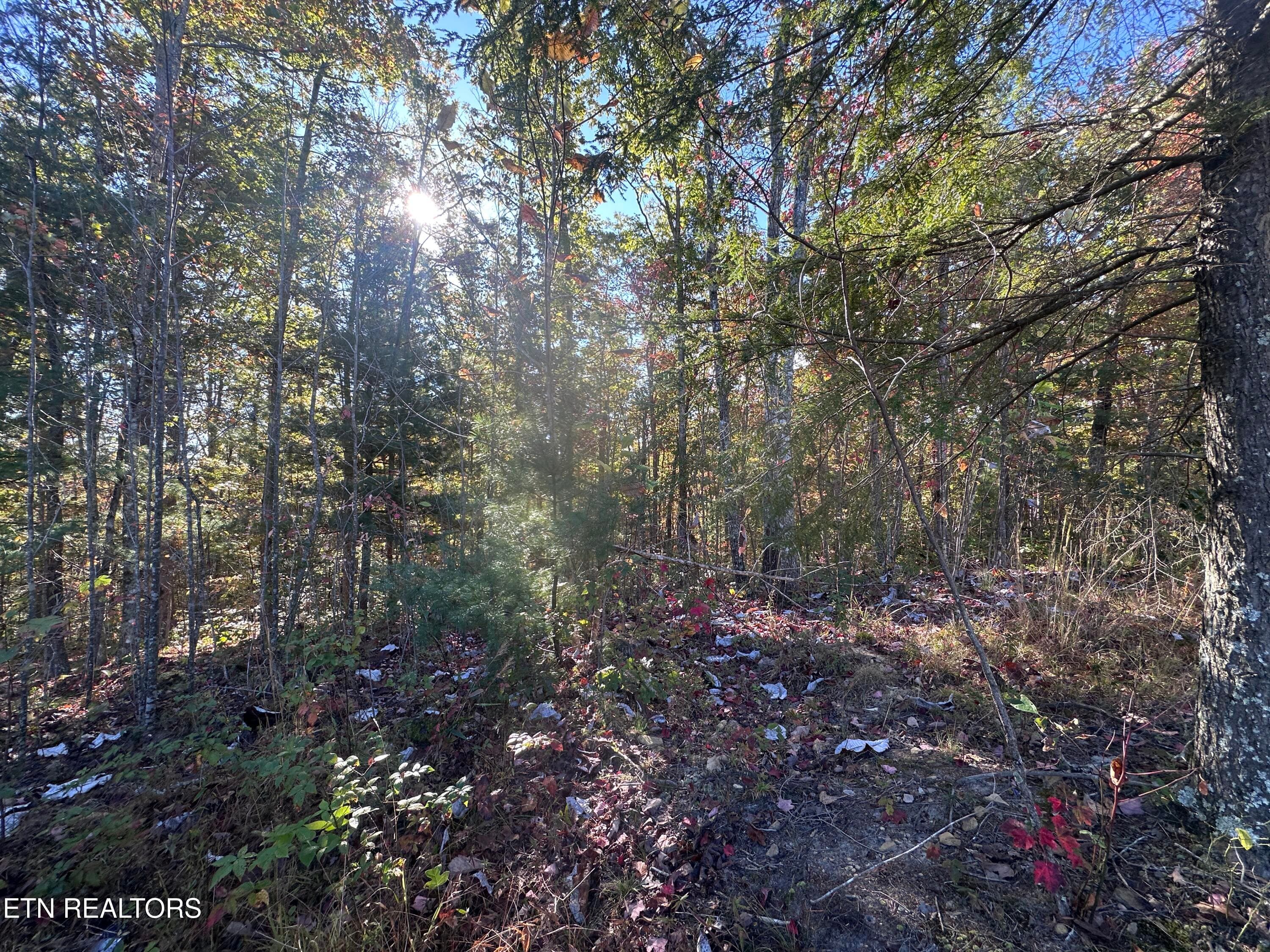 IMG_3492 - 137 Laurel Rd, Jamestown, TN 38556