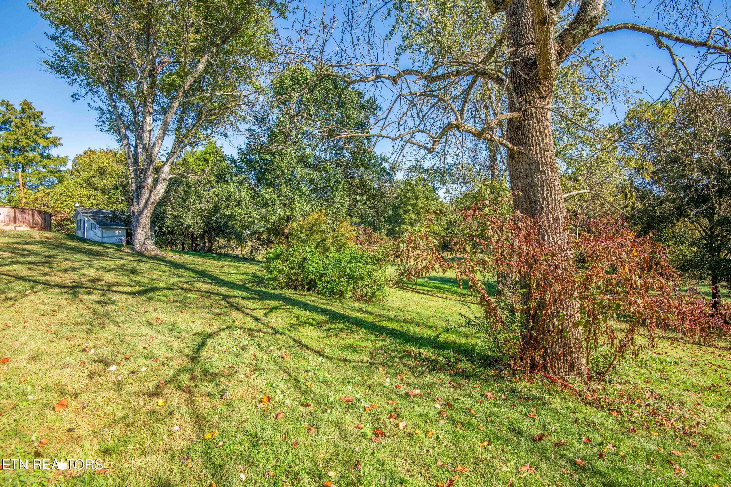 yard 1_1 - 760 Lafollette Drive, Maryville, TN 37801