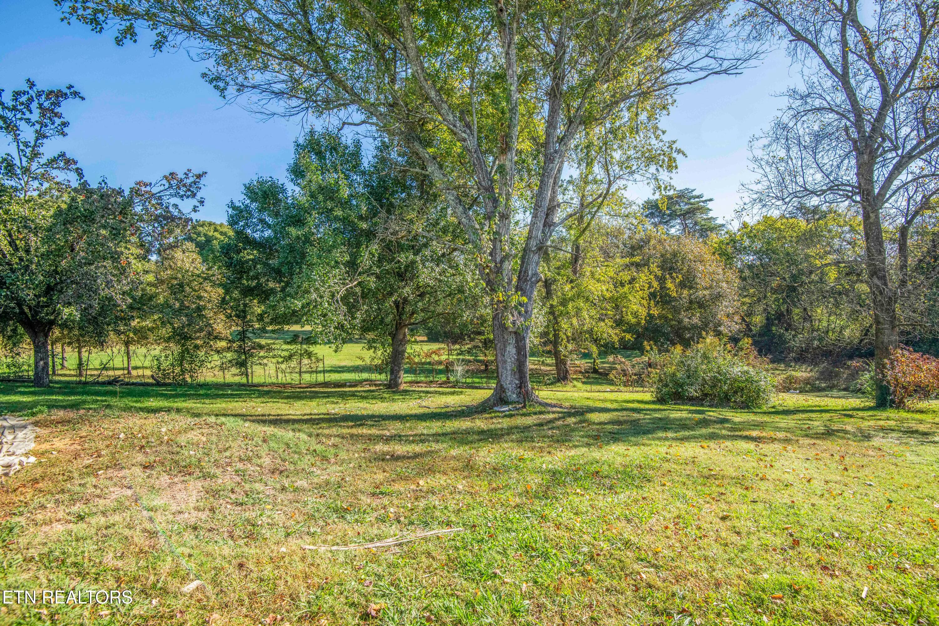 yard 11_1 - 760 Lafollette Drive, Maryville, TN 37801