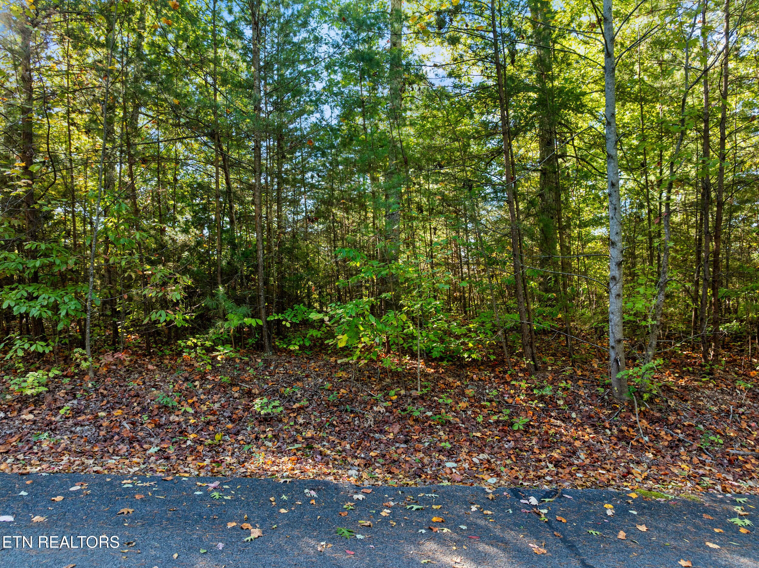 culverts cove lot22-5 - Lot 22 Culverts Cove, Maryville, TN 37801