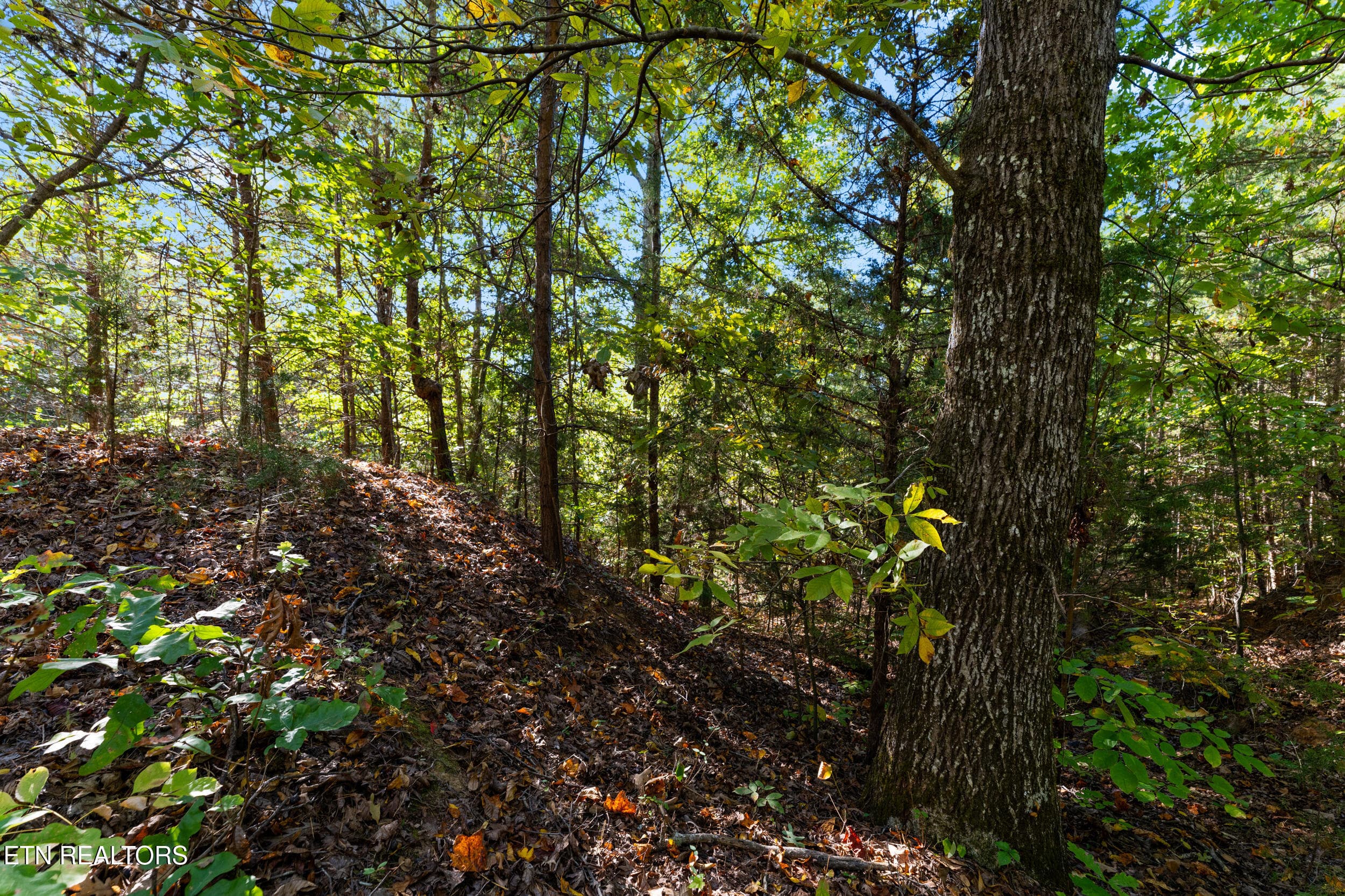 culverts cove lot22-6 - Lot 22 Culverts Cove, Maryville, TN 37801