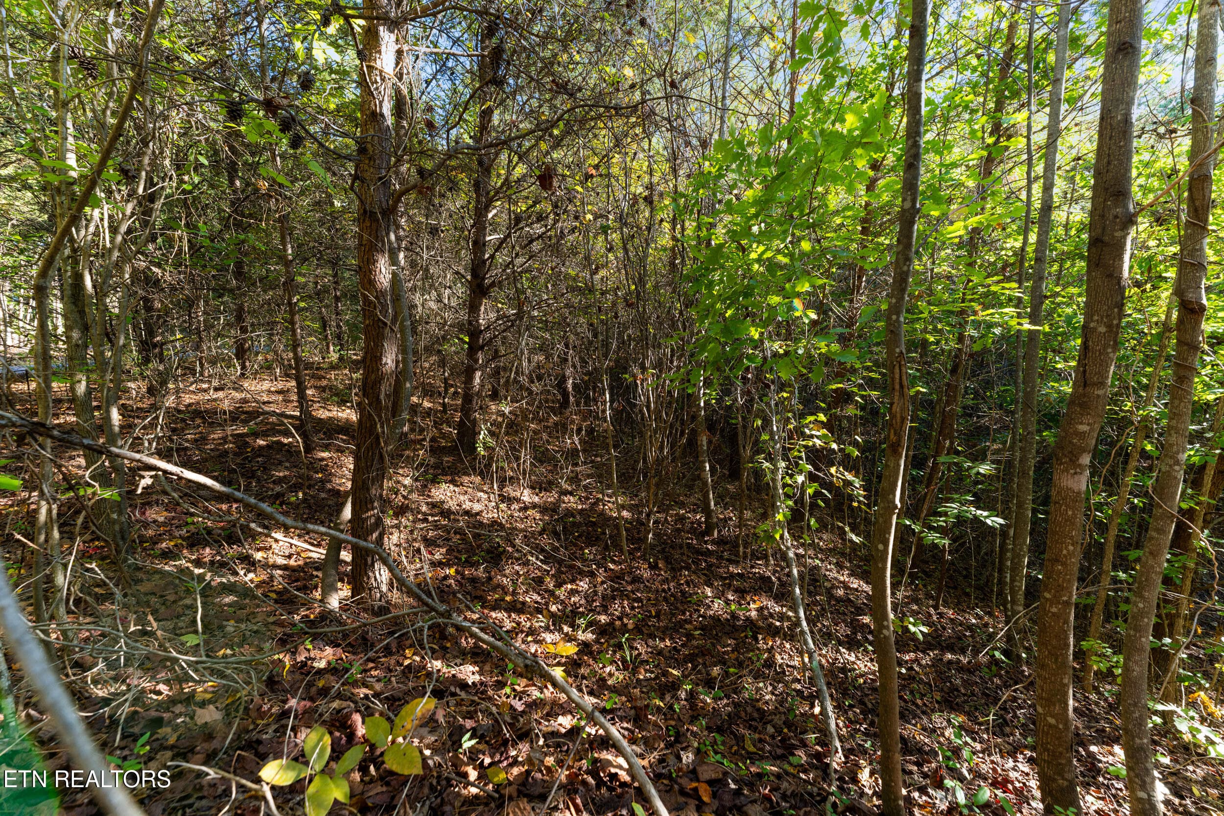 culverts cove lot22-7 - Lot 22 Culverts Cove, Maryville, TN 37801